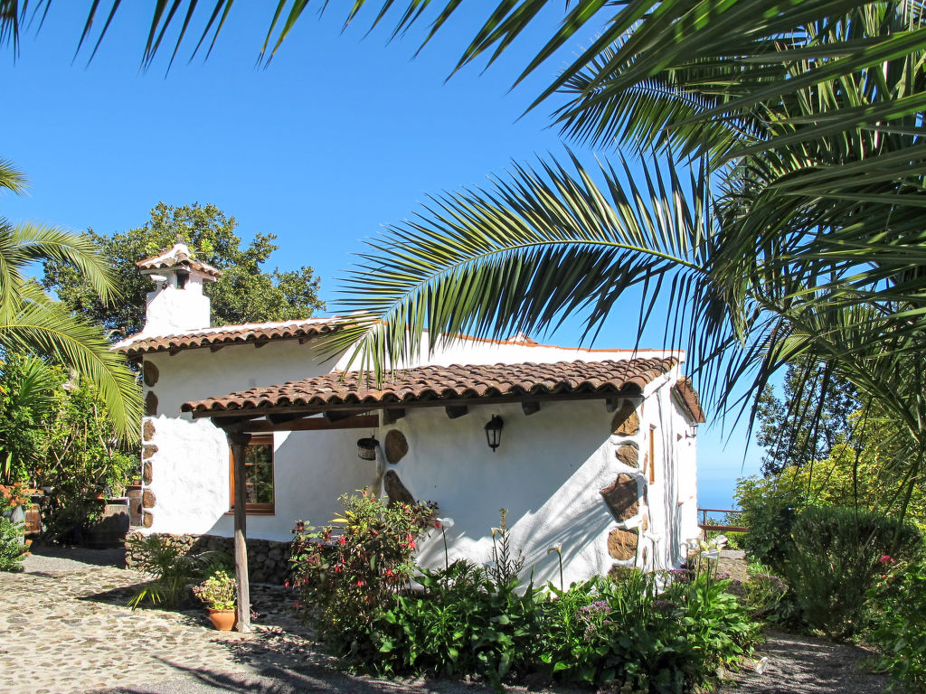 Icod de los Vinos (ICO125)