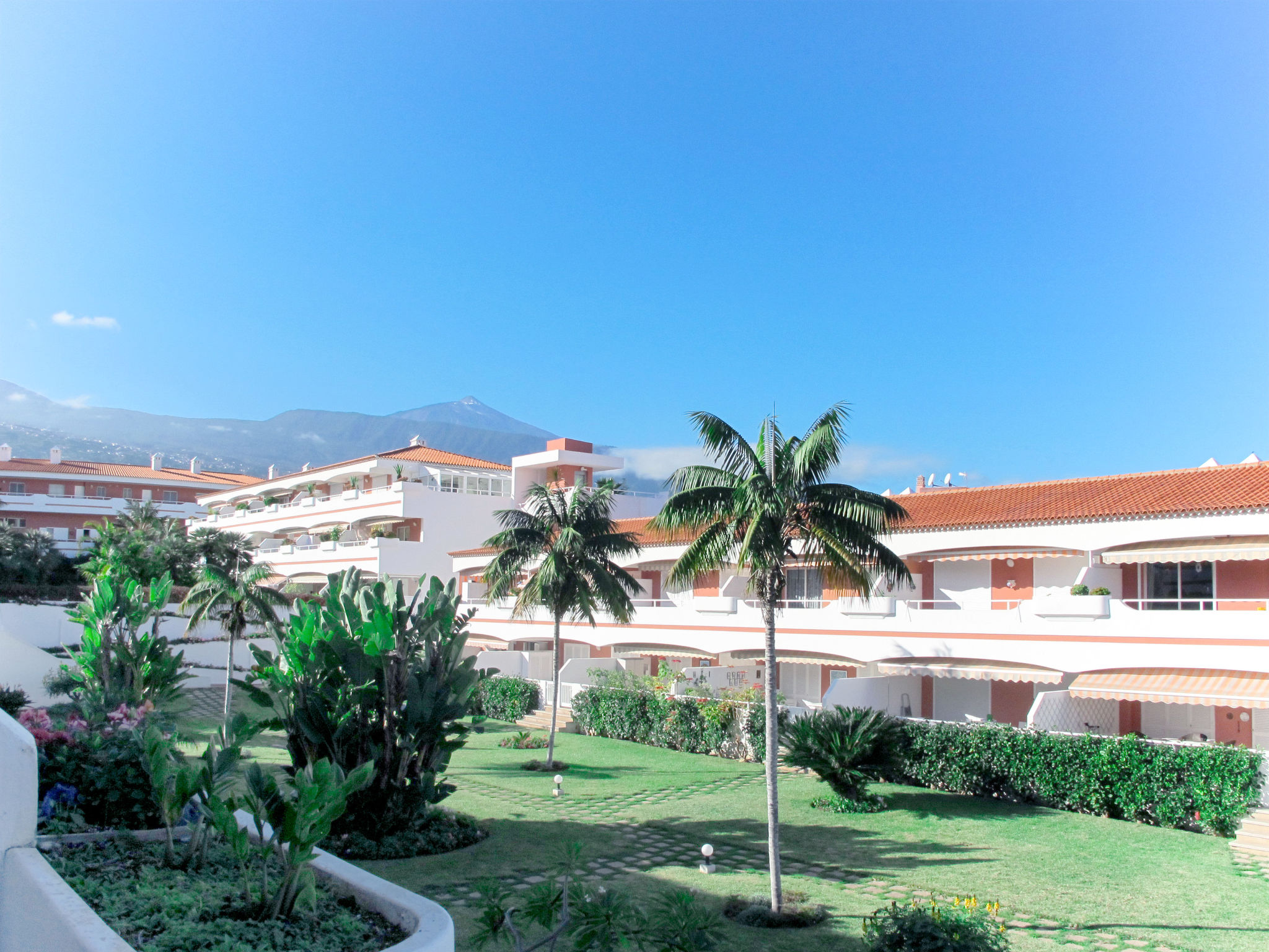 Photo of Laurisilva