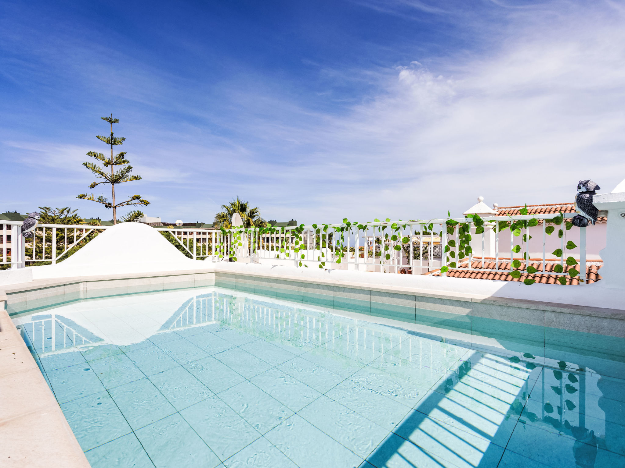 Photo of Prime atic Rosaleda