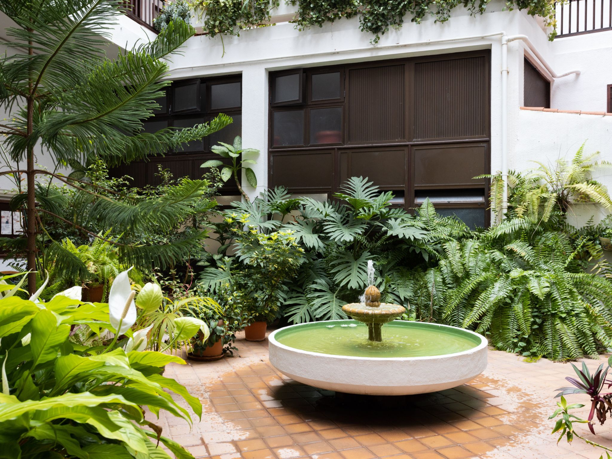 Photo of Prime Homes Muelle Studio