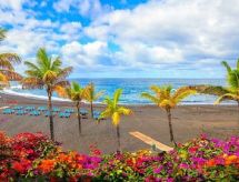 Beatifull apto Meerblick Playa Jardin wiffi