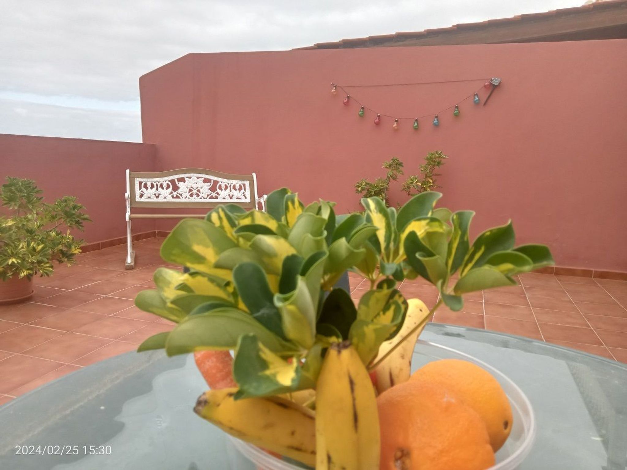 Beatifull apto Meerblick Playa Jardin wiffi-Binnen