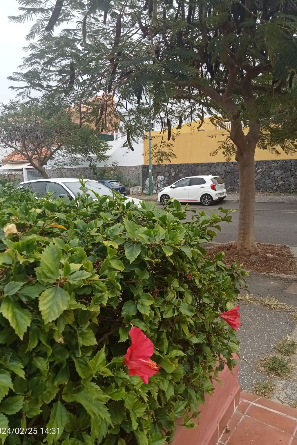 Beatifull apto Meerblick Playa Jardin wiffi-Binnen