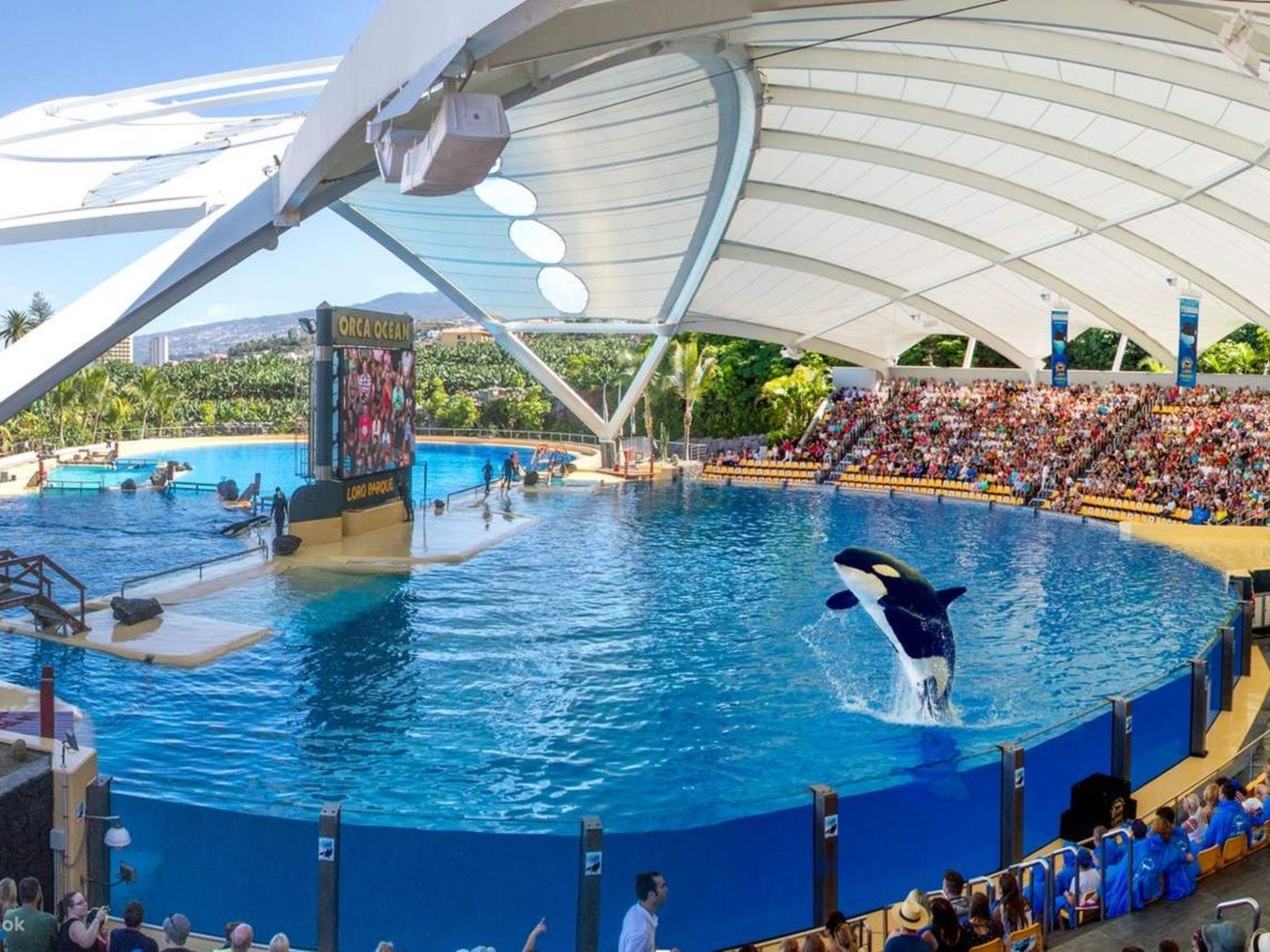 Beatifull apto Meerblick Playa Jardin wiffi-Binnen