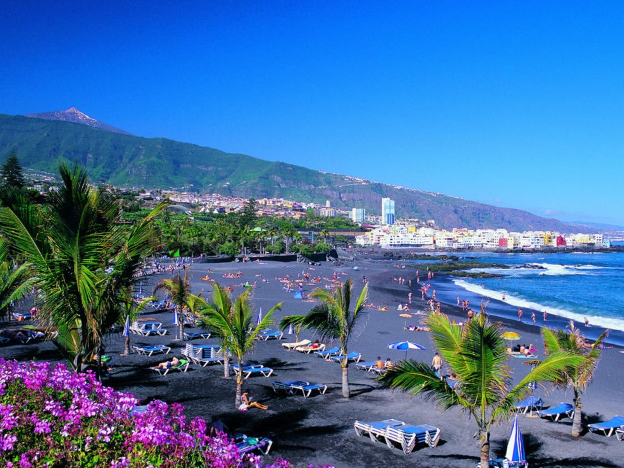 Fantastico 1-Image-tags.info