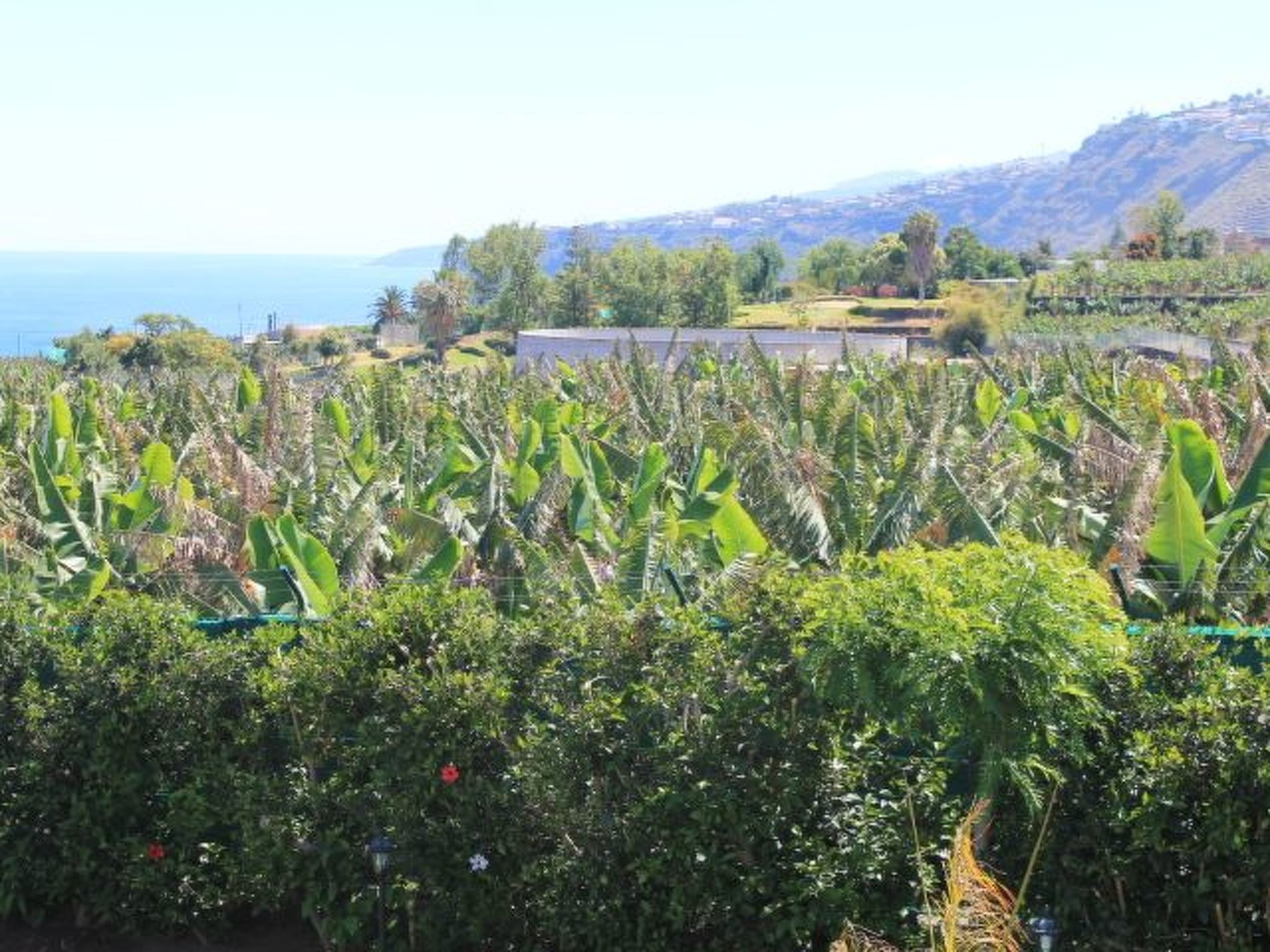 Finca Paraiso-Image-tags.info