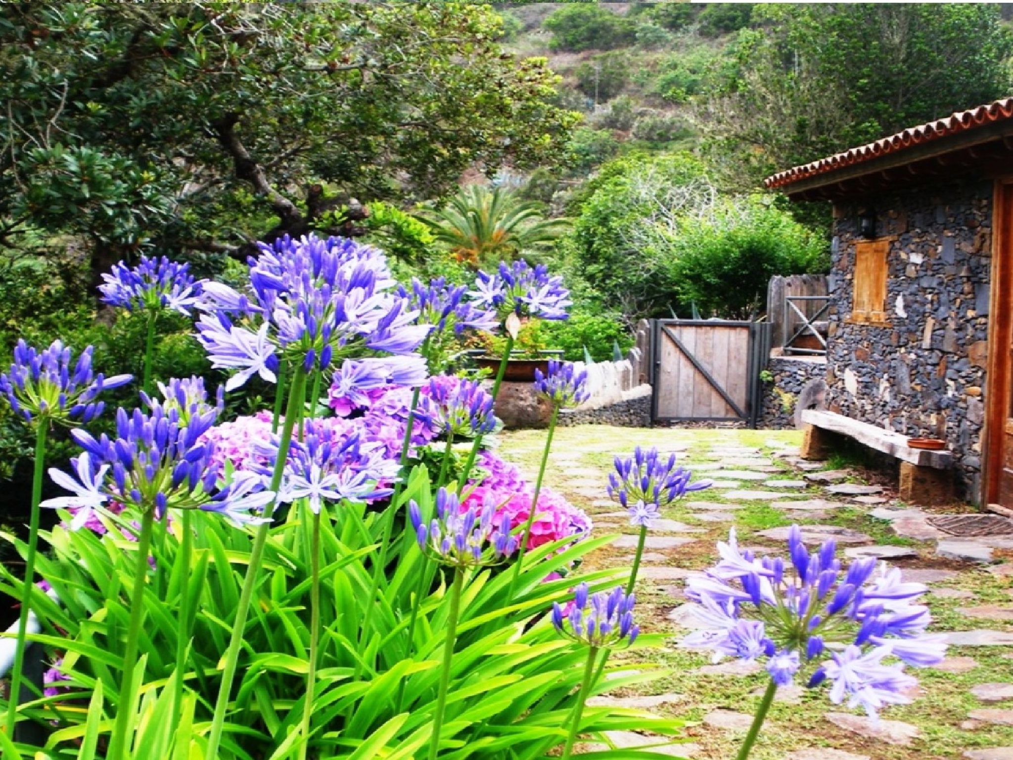 Maison Freistehendes Ferienhaus La Maleza in La Palmita – Extérieur de la maison, photo 31 sur 51