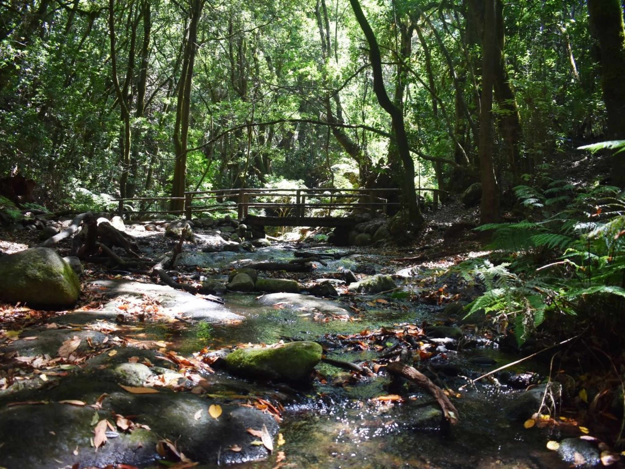 Freistehendes Ferienhaus La Maleza in La Palmita-Binnen