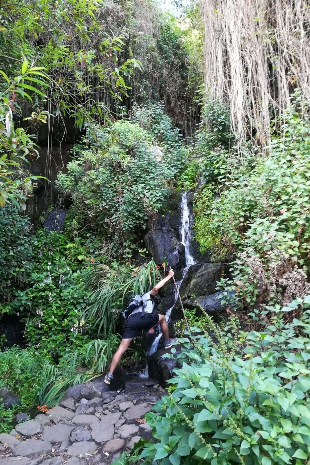 Freistehendes Ferienhaus La Maleza in La Palmita-Binnen