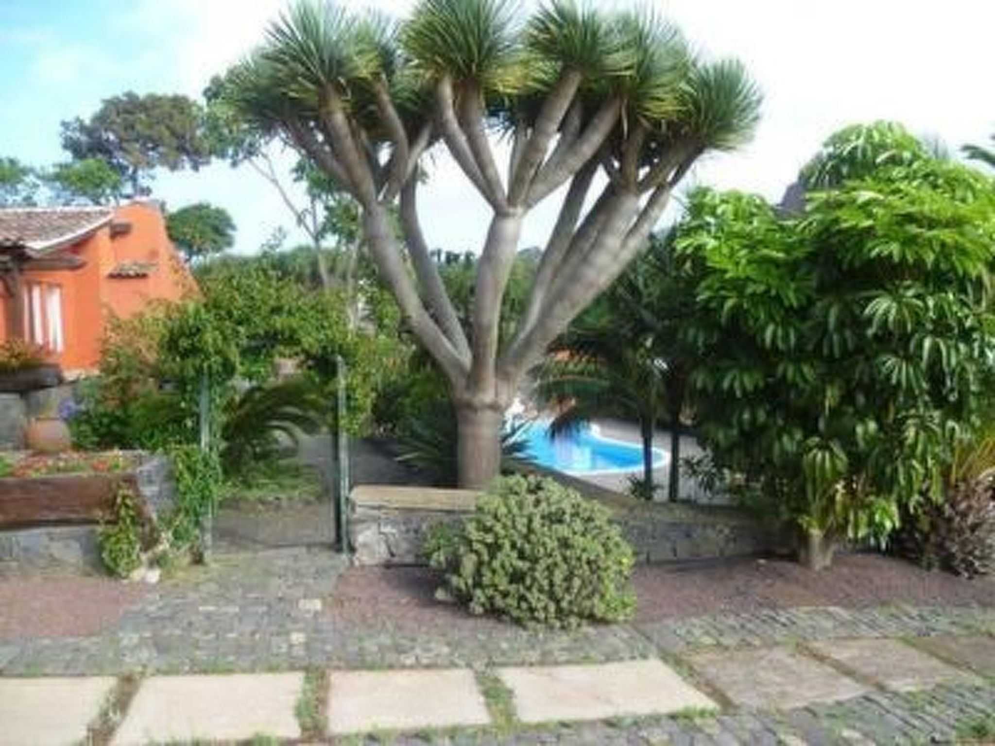 Finca Los Vinedos-Image-tags.info