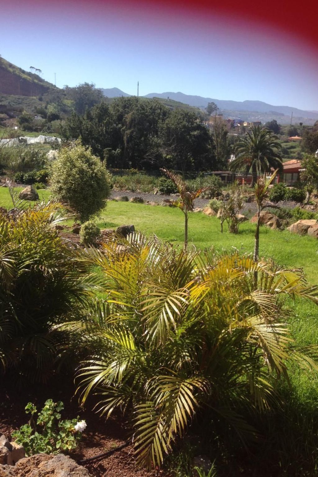 Finca Los Vinedos-Image-tags.info