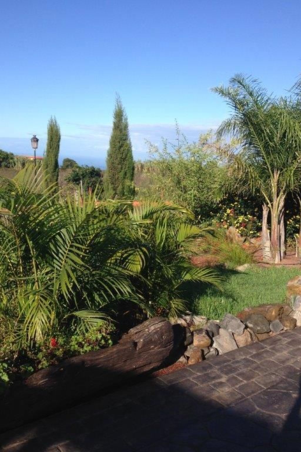 Finca Los Vinedos-Image-tags.info