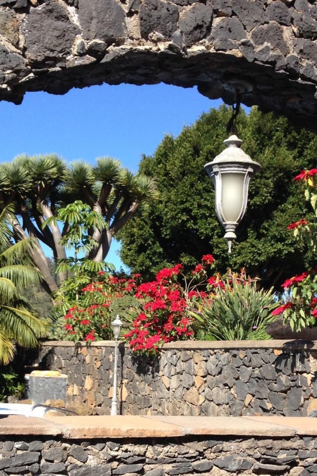 Finca Los Vinedos-Image-tags.info