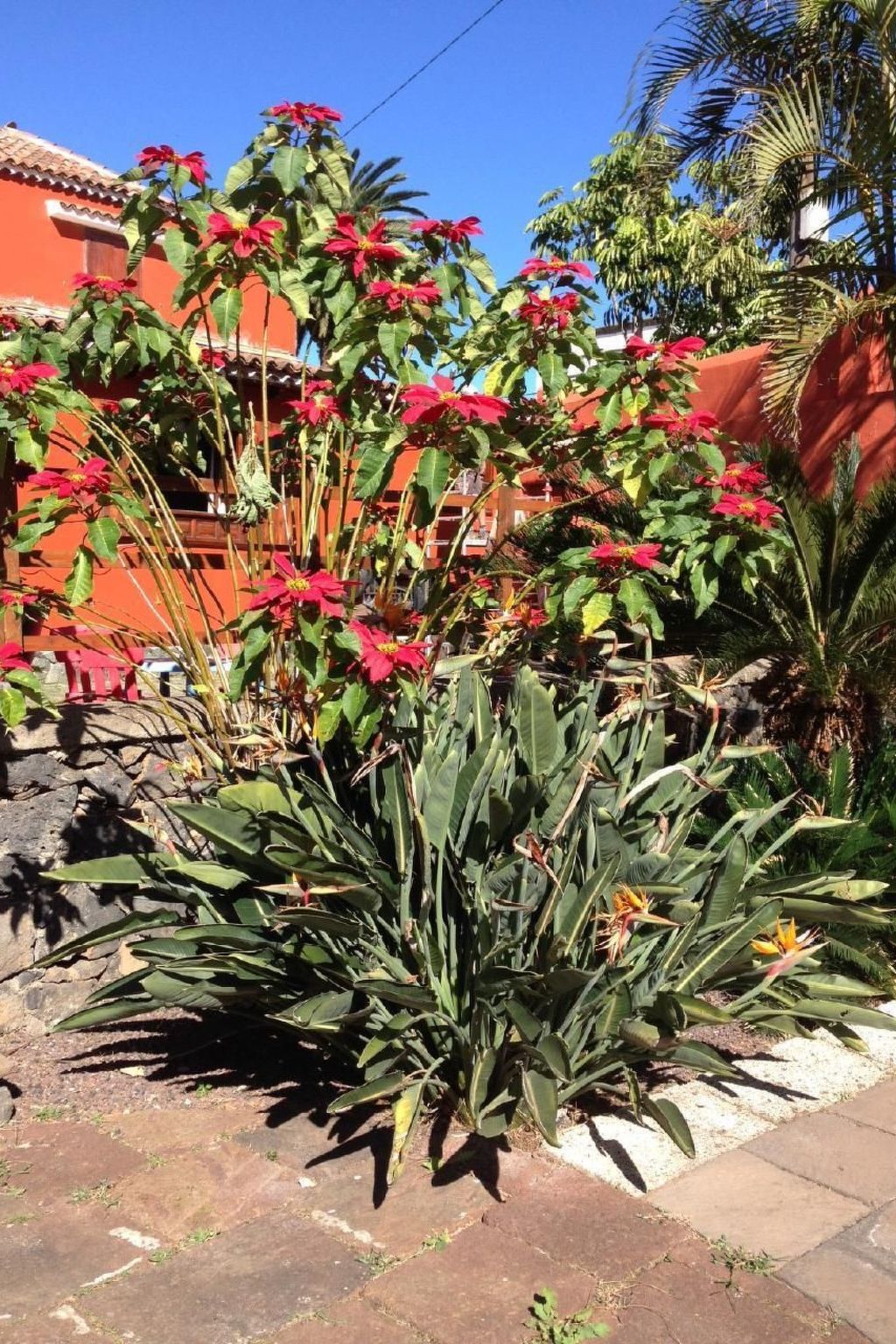 Finca Los Vinedos-Image-tags.info