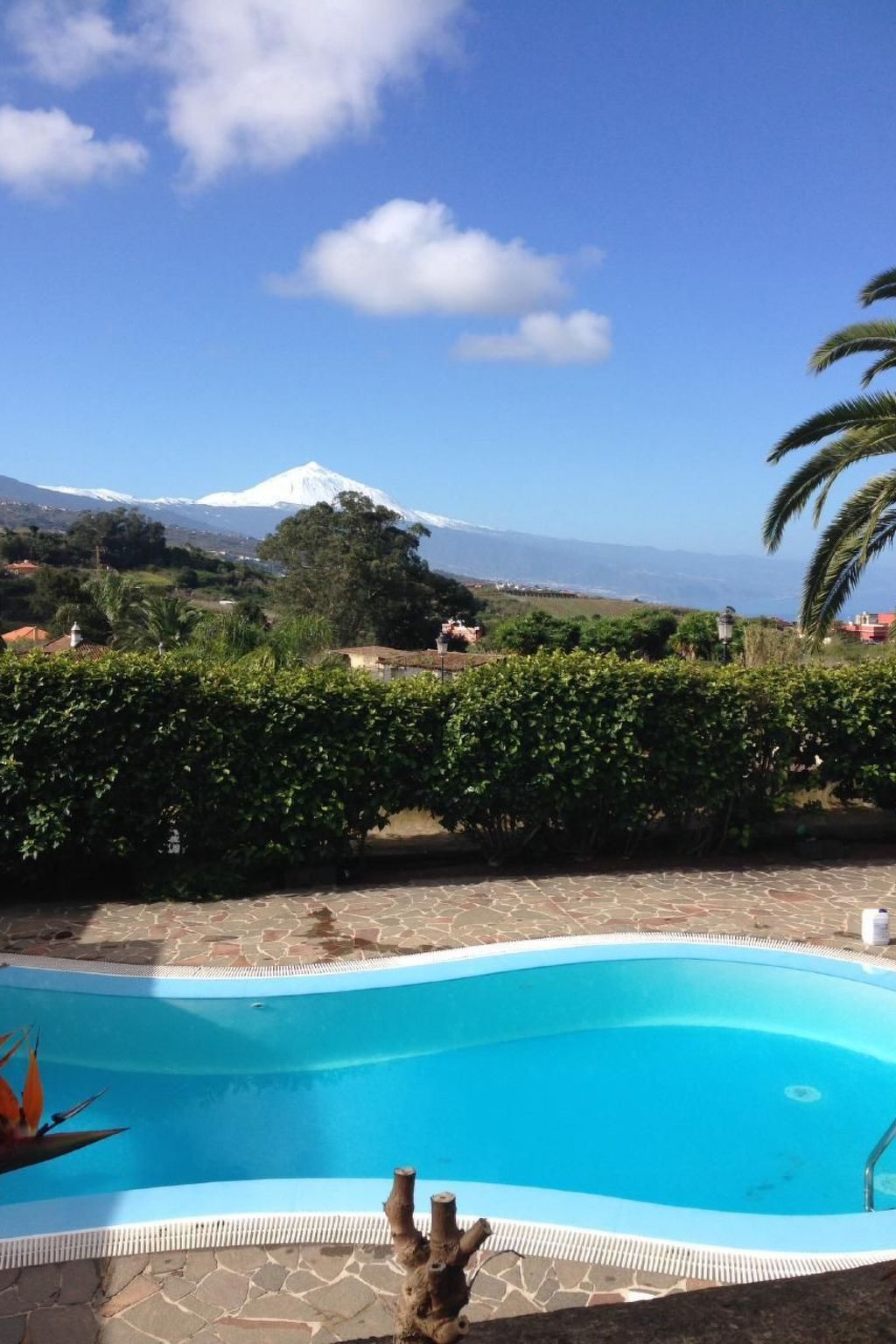 Finca Los Vinedos-Image-tags.info