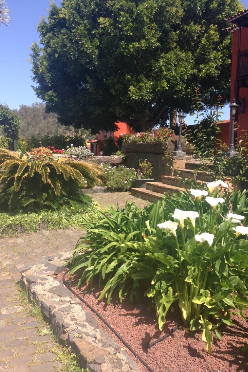 Finca Los Vinedos-Image-tags.info