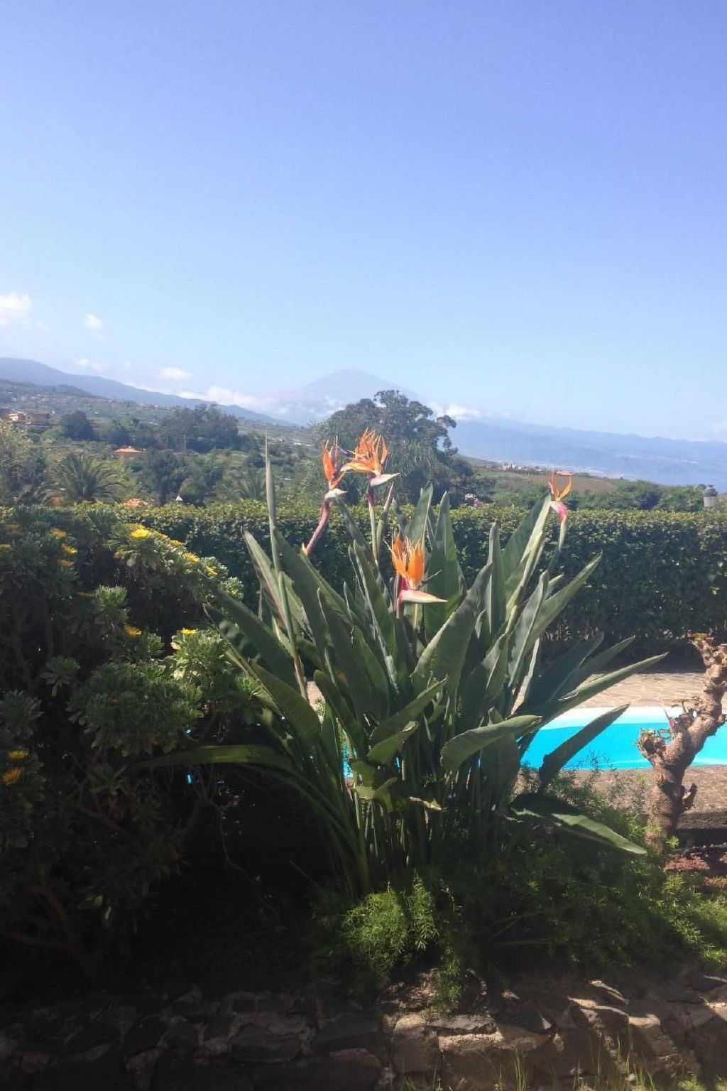 Finca Los Vinedos-Image-tags.info