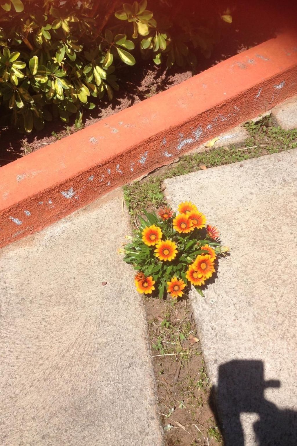 Finca Los Vinedos-Image-tags.info