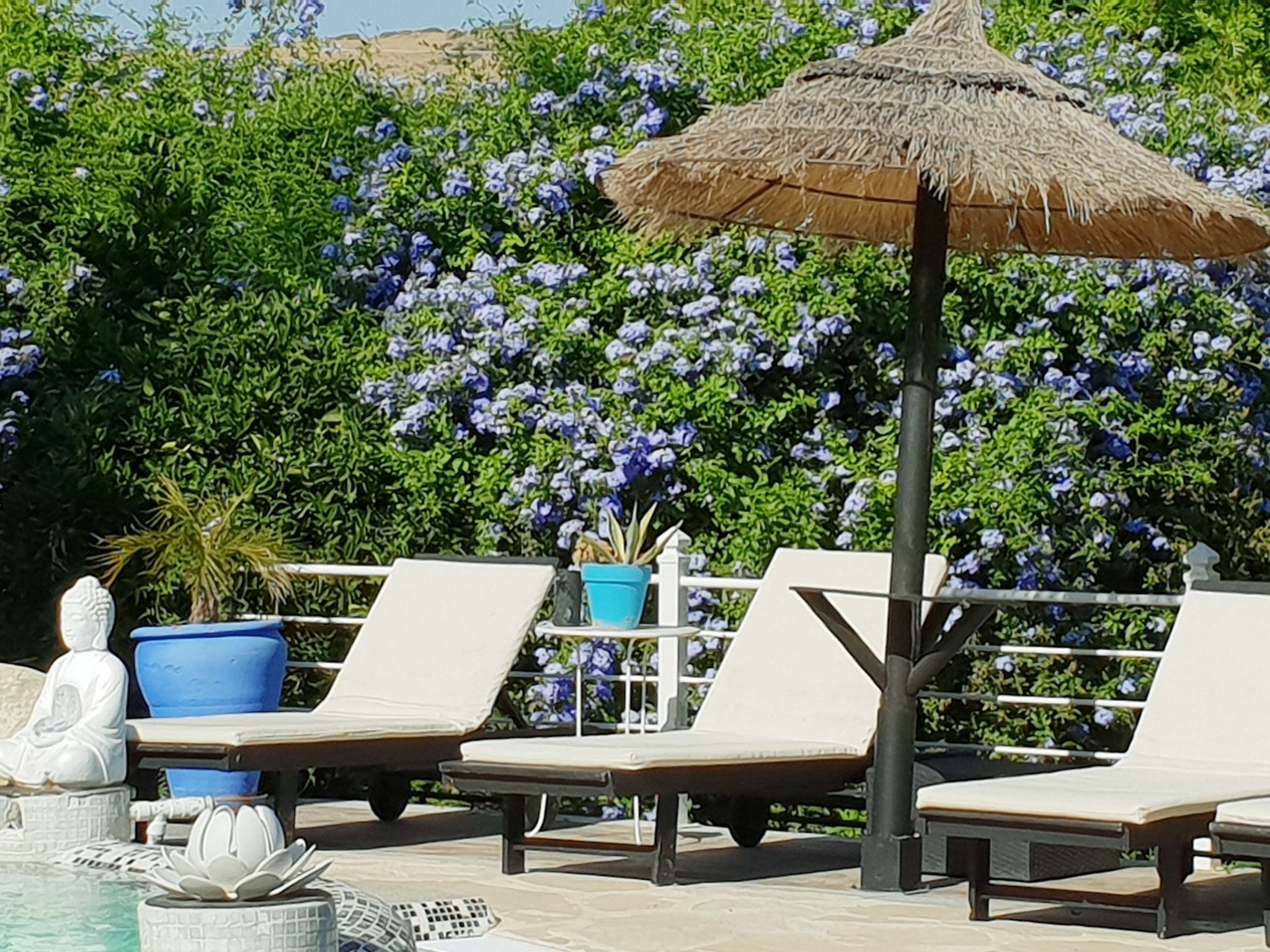 Das Lotus-Haus-Binnen