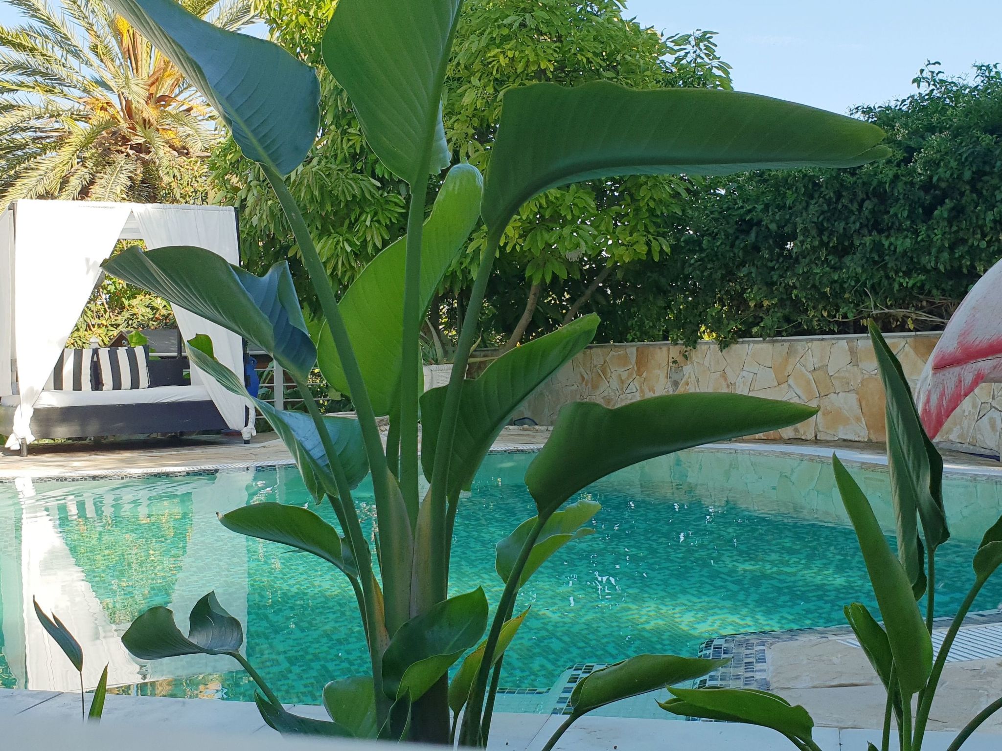 Das Lotus-Haus-Binnen