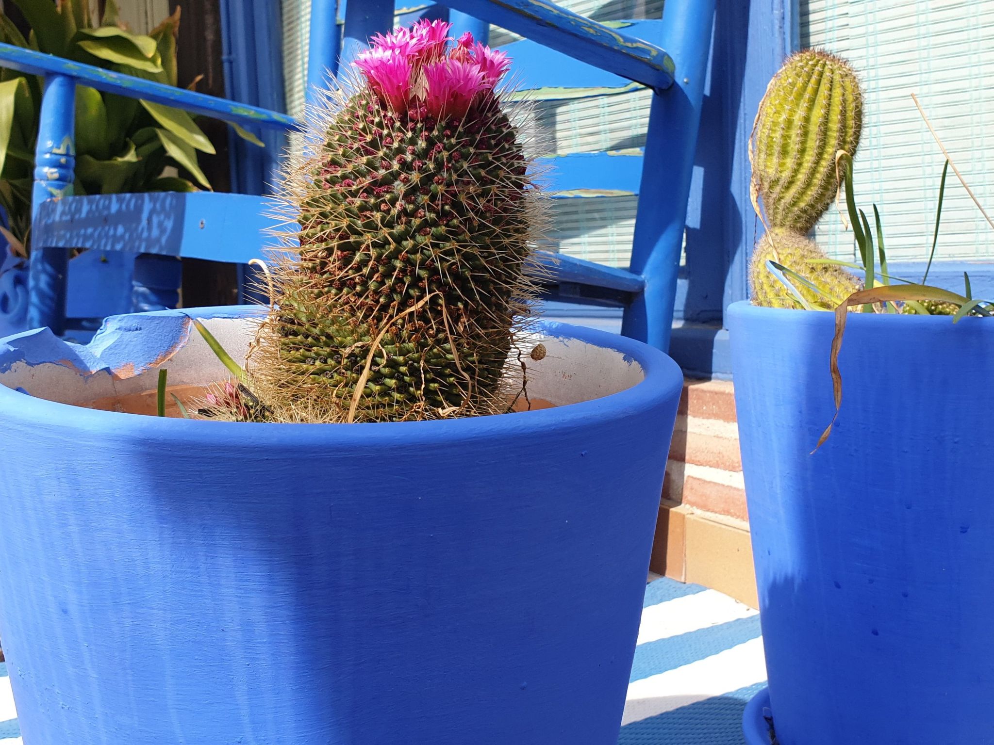 Das Lotus-Haus-Binnen