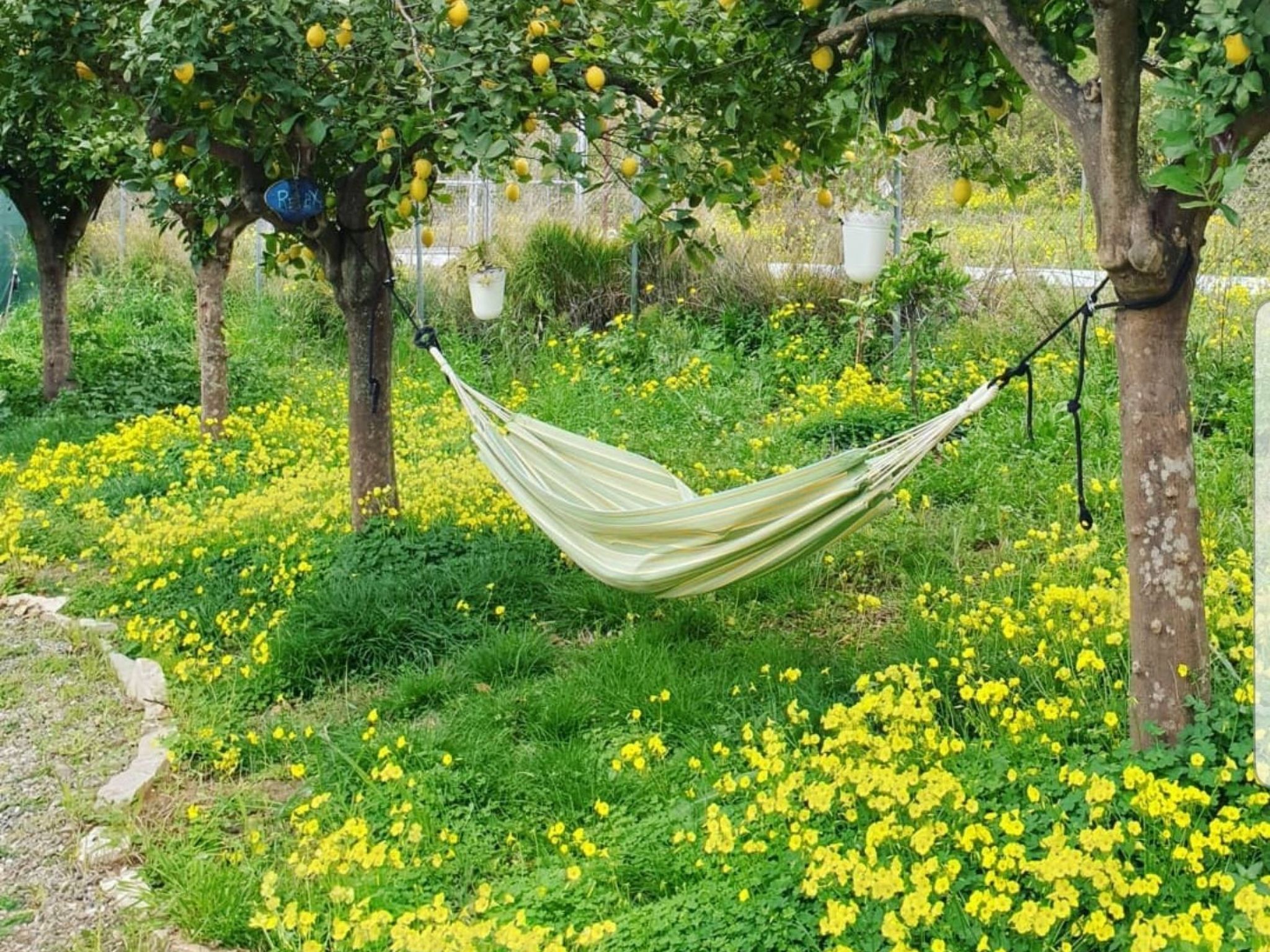 Das Lotus-Haus-Binnen
