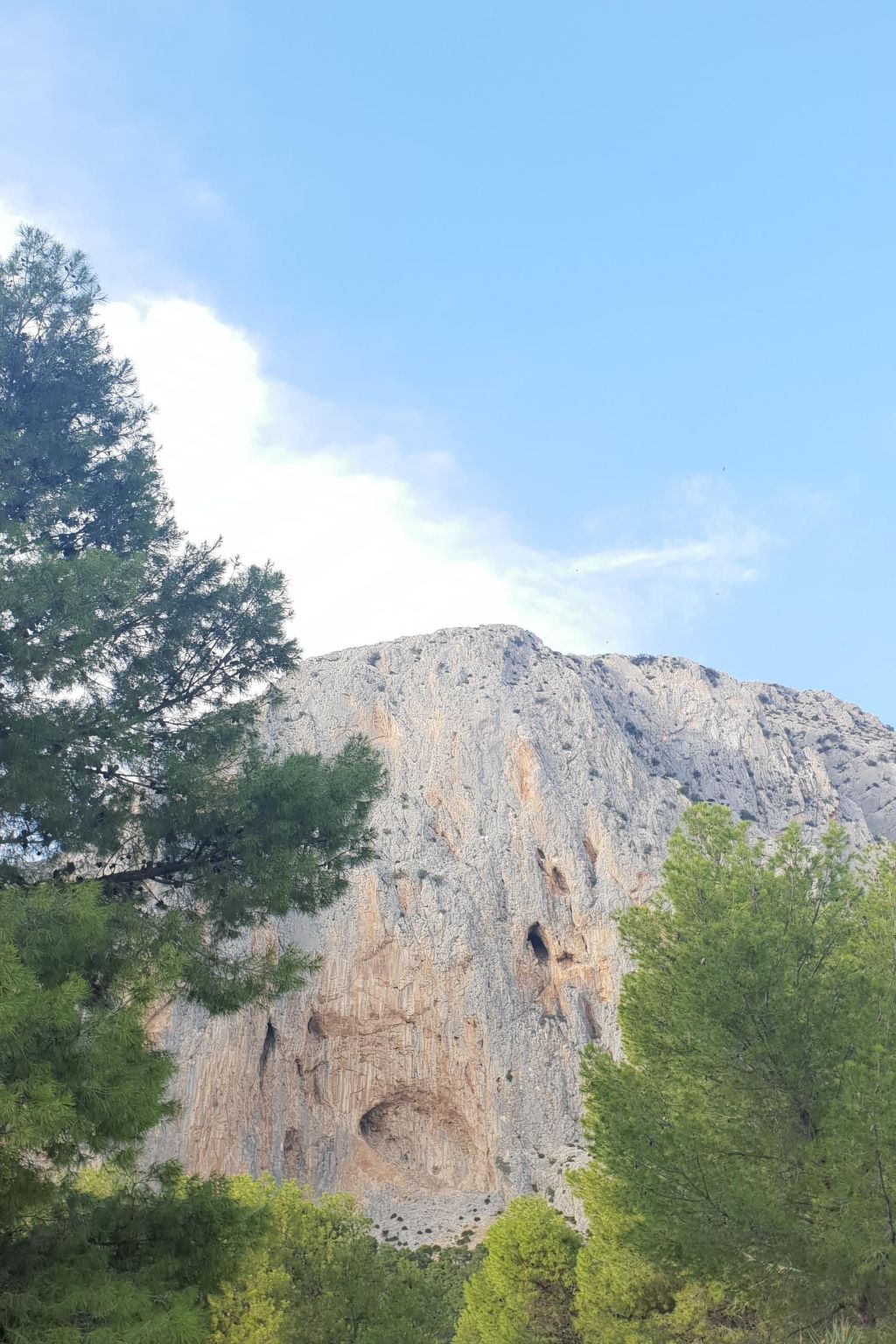 Das Lotus-Haus-Binnen