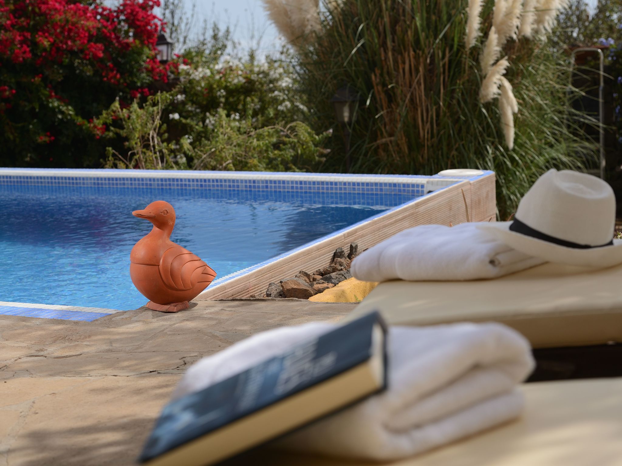 Mit Schwimmbad nur für Erwachsene-Binnen