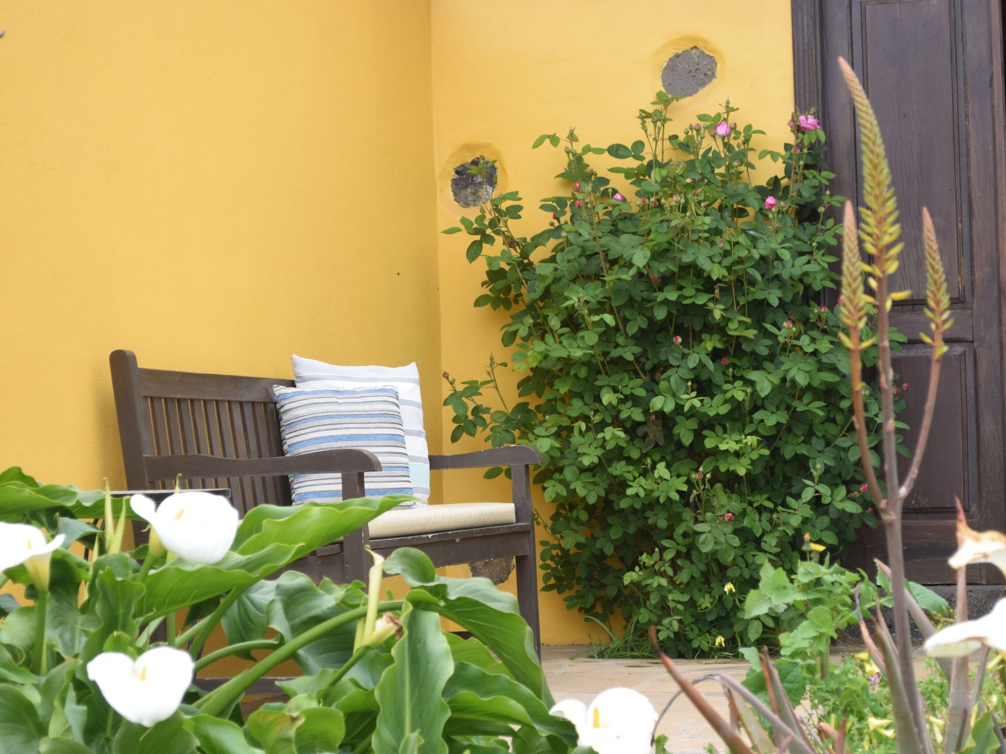 Mit Schwimmbad nur für Erwachsene-Binnen