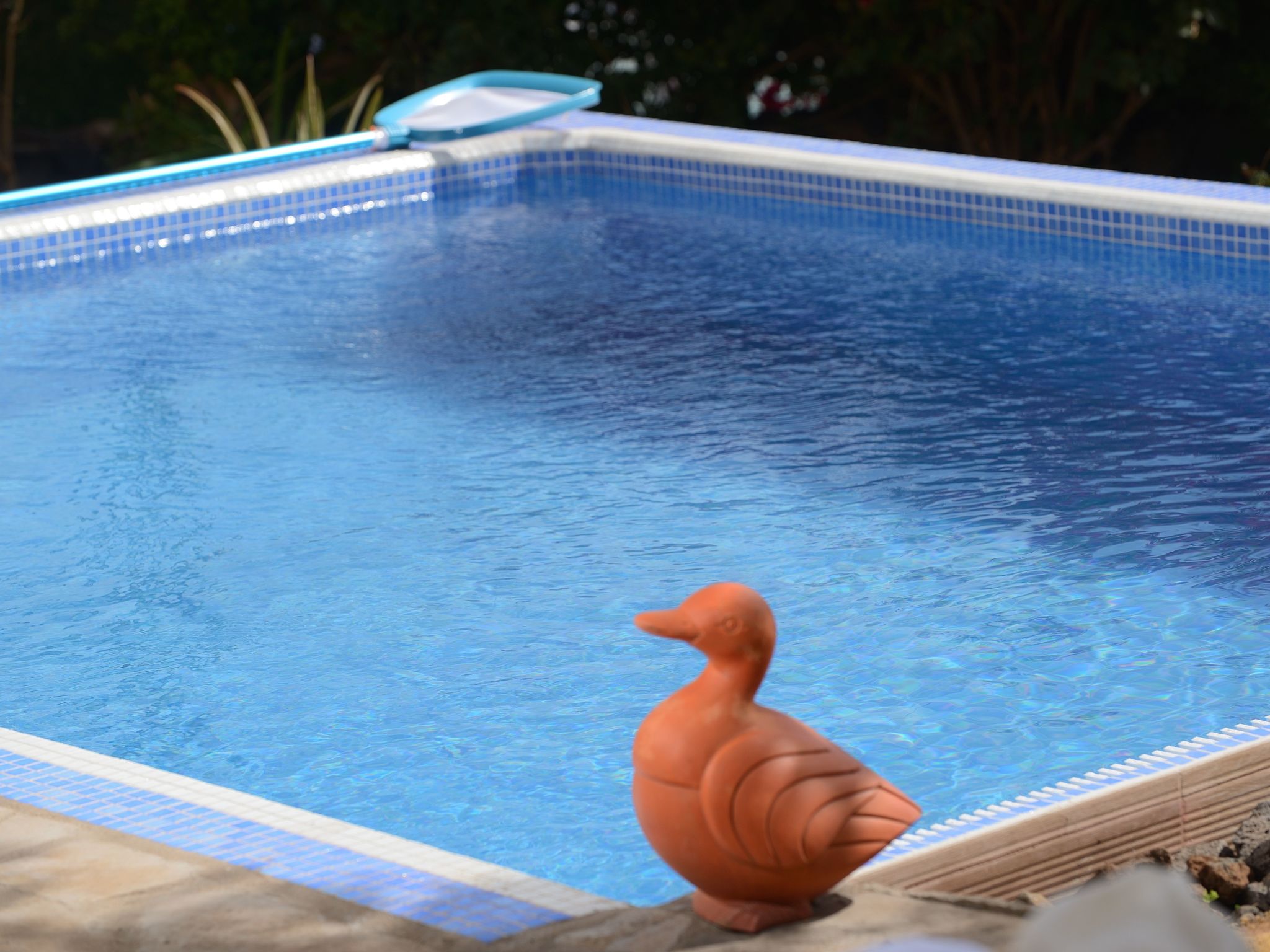 Mit Schwimmbad nur für Erwachsene-Binnen