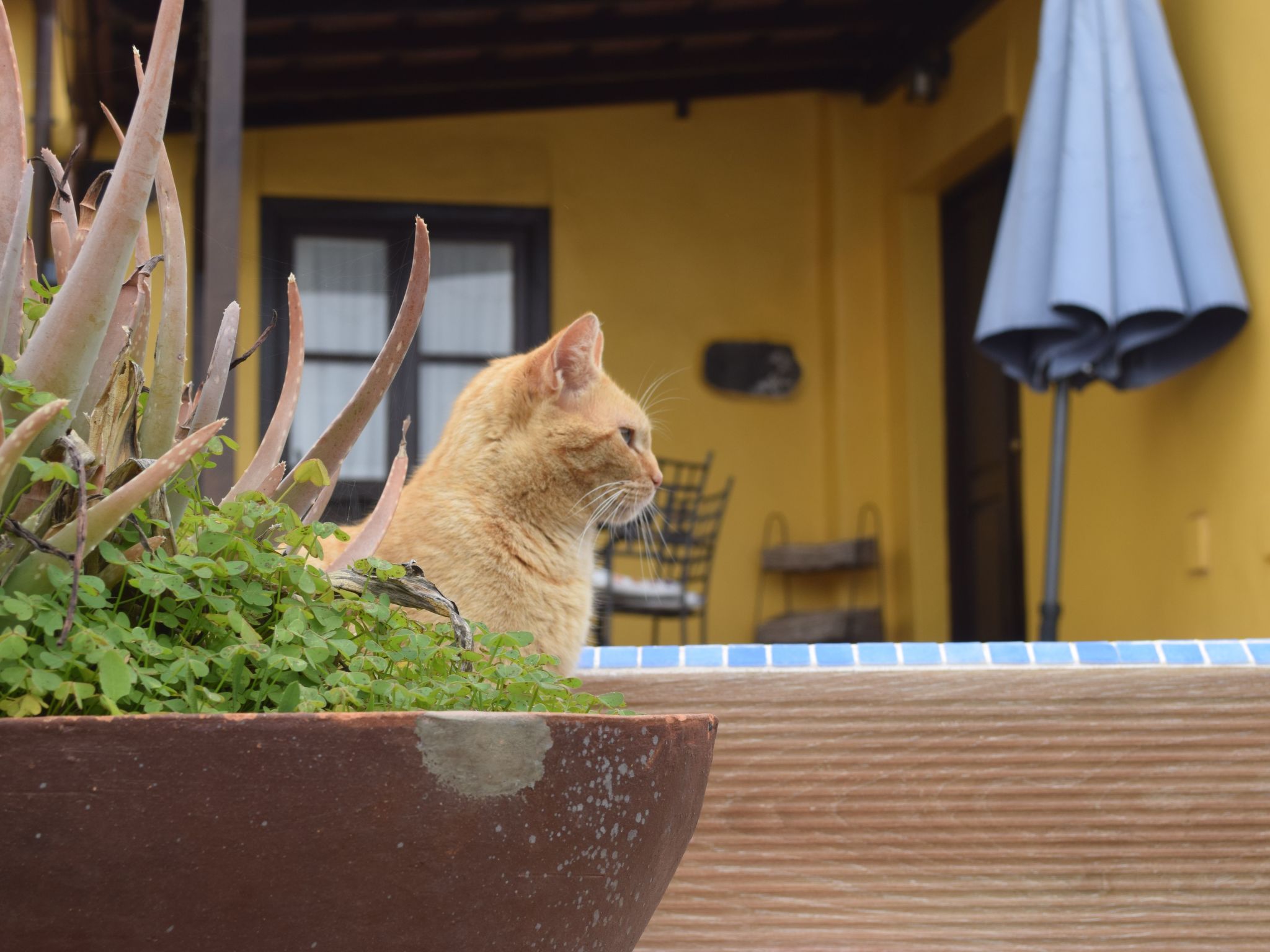 Mit Schwimmbad nur für Erwachsene-Binnen