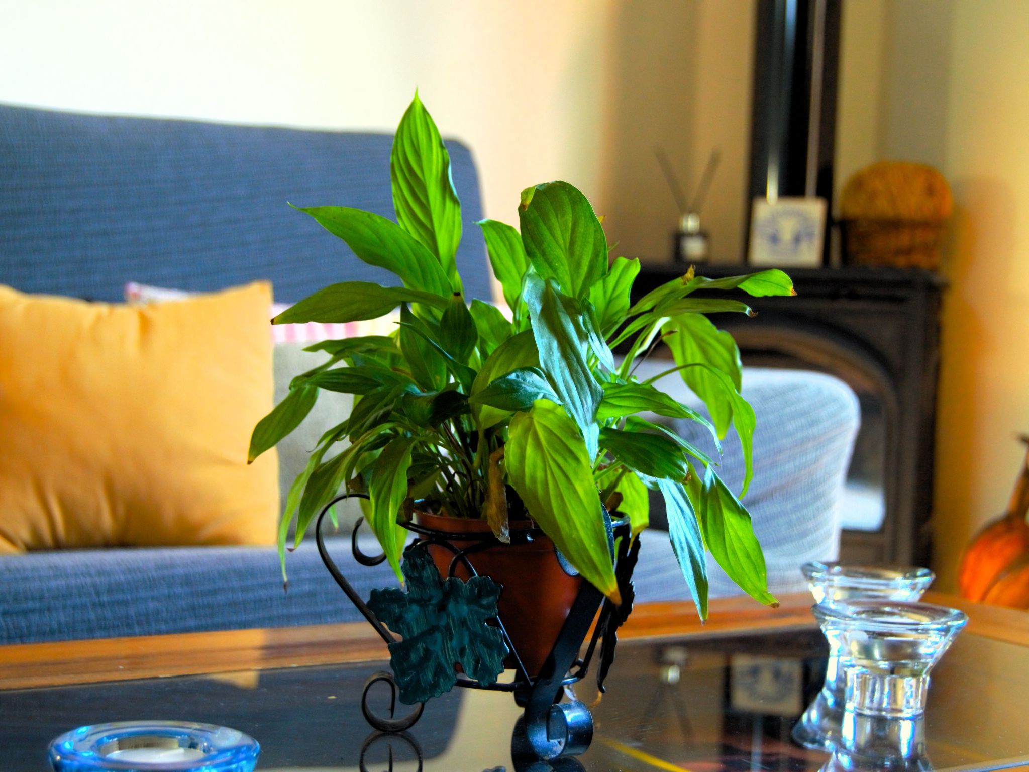 Mit Schwimmbad nur für Erwachsene-Binnen