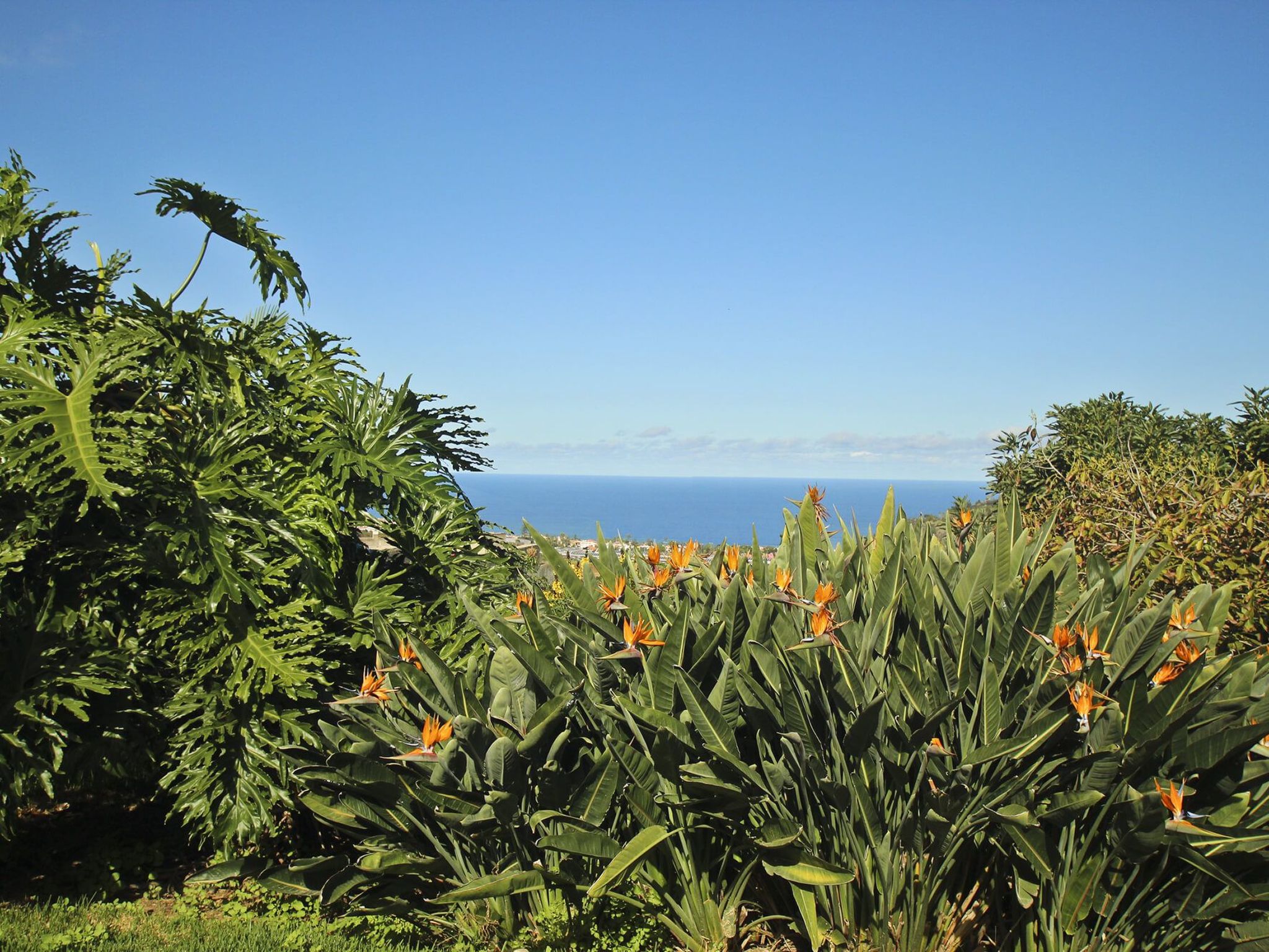 Finca Tocama-Image-tags.info