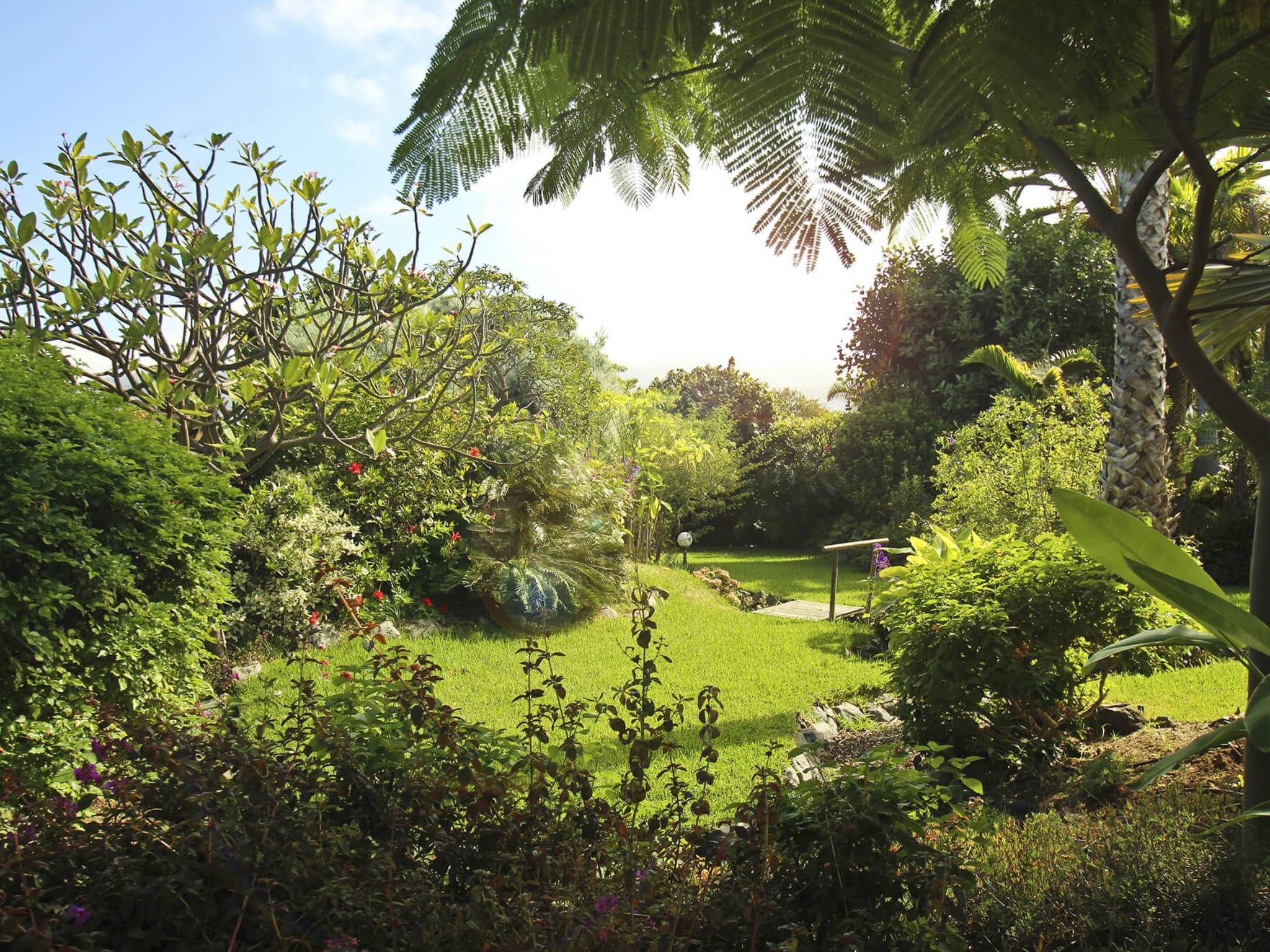 Finca Tocama-Image-tags.info