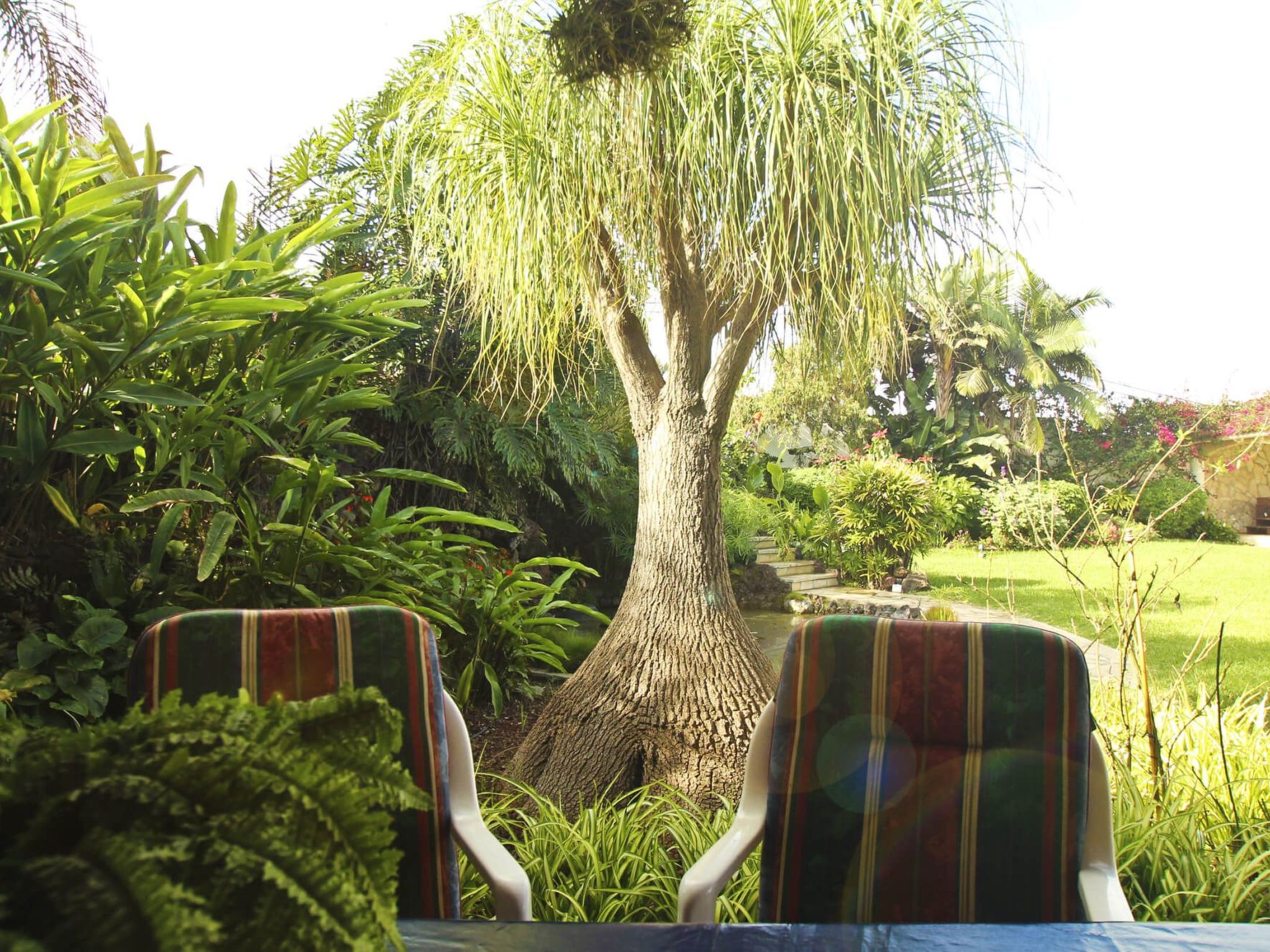 Finca Tocama-Image-tags.info