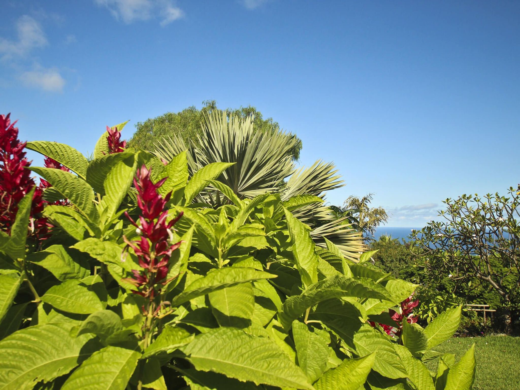 Finca Tocama-Image-tags.info