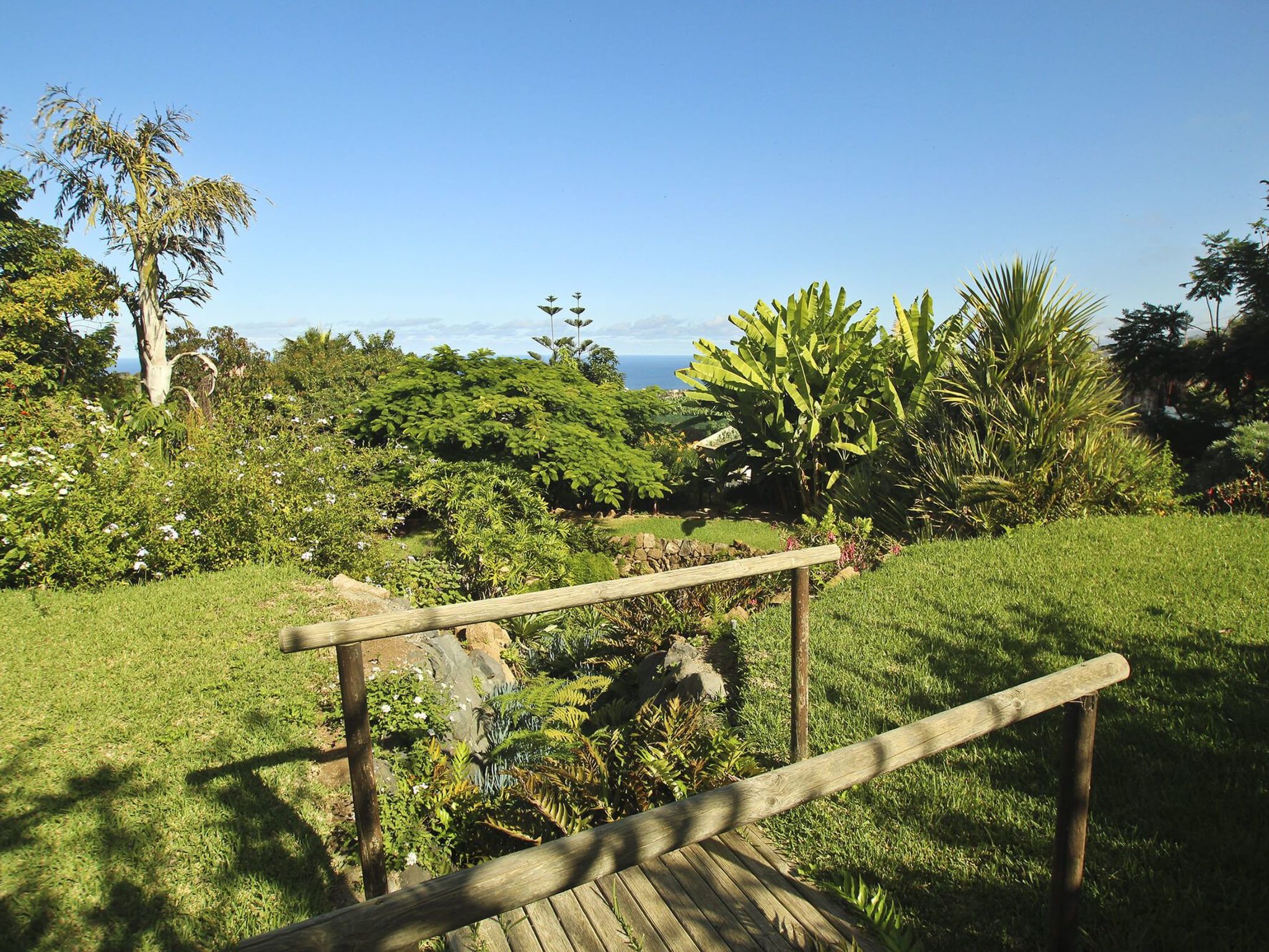 Finca Tocama-Image-tags.info