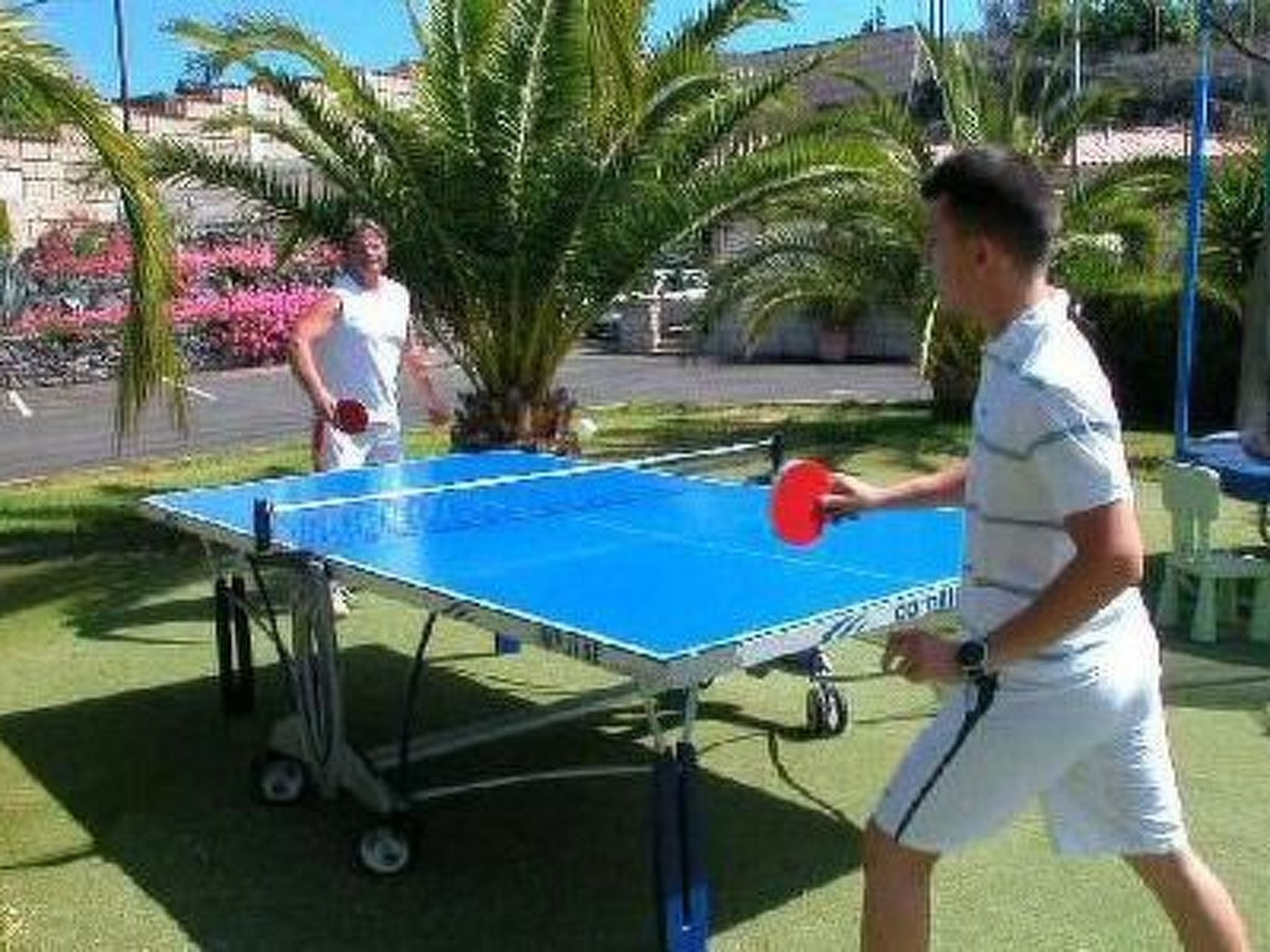 Wohnung Paloma mit Terrasse und Gemeinschaftspool-Image-tags.info