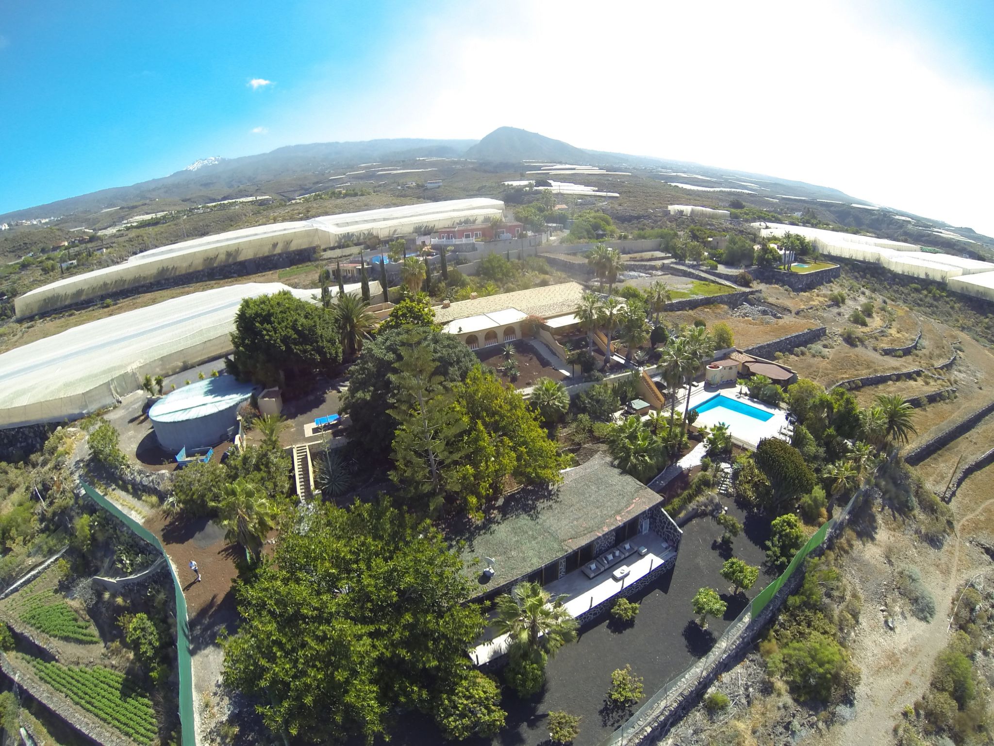 In Guía de Isora, Teneriffa-Image-tags.info