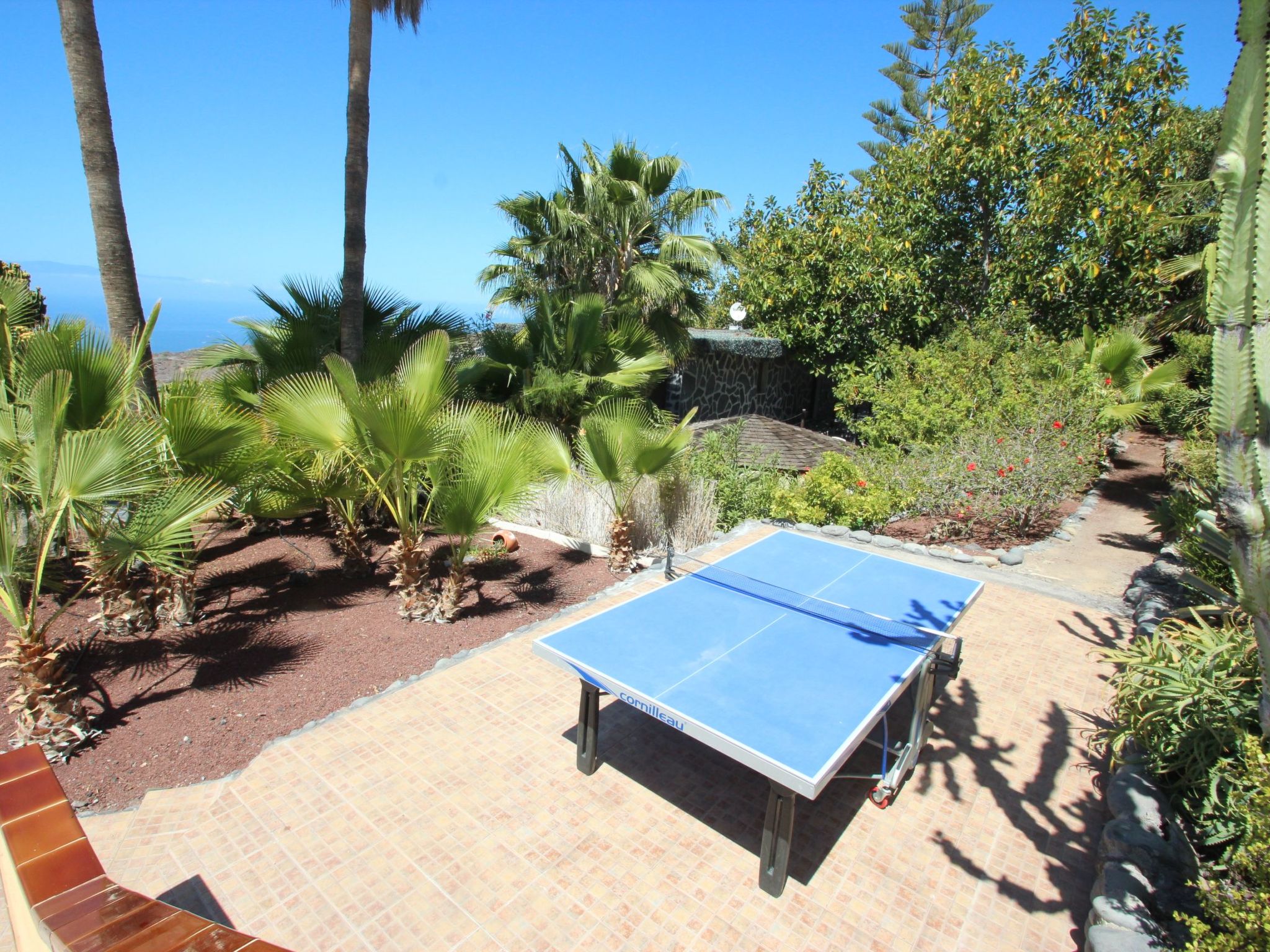 In Guía de Isora, Teneriffa-Image-tags.info