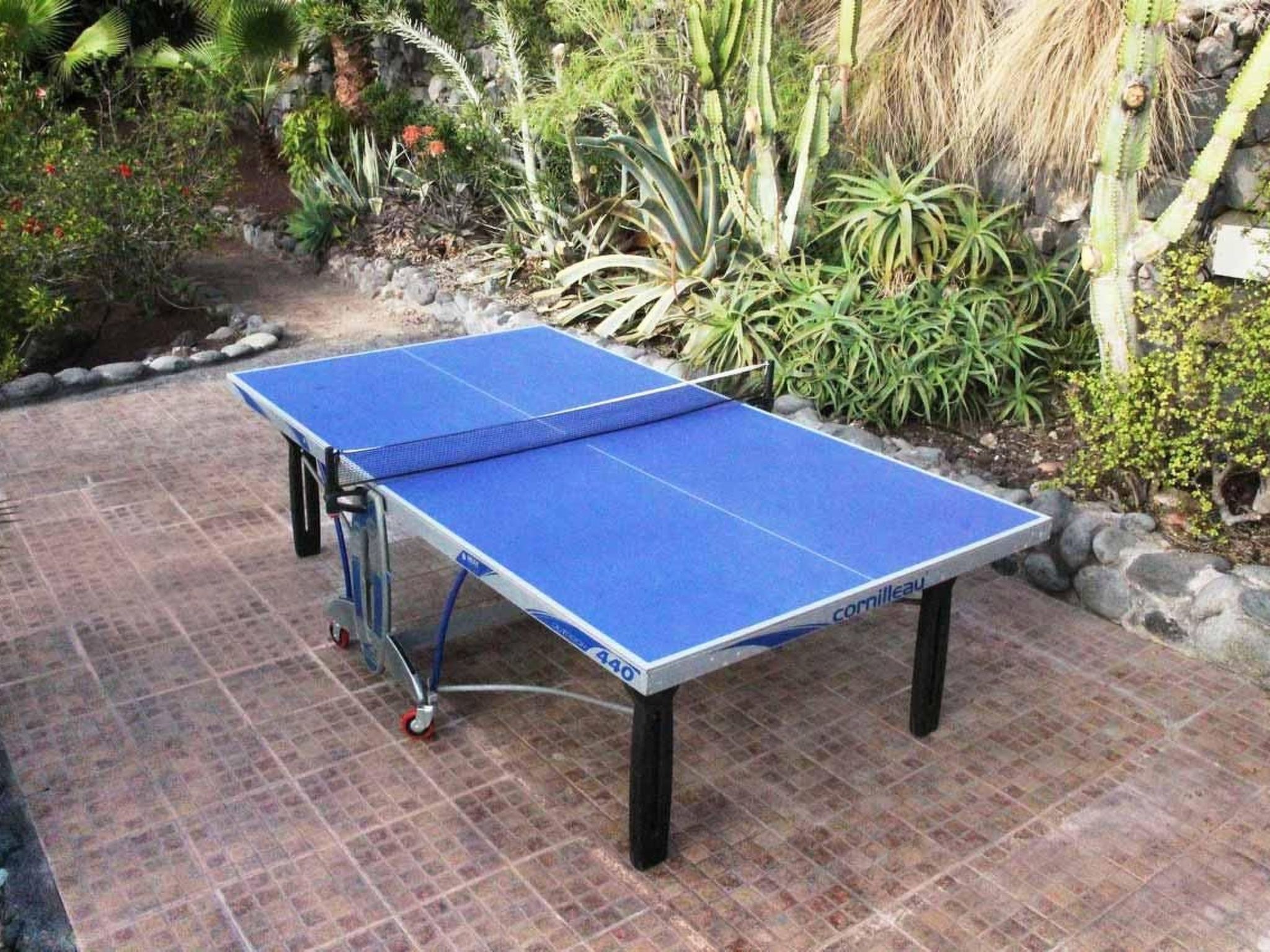 In Guía de Isora, Teneriffa-Image-tags.info