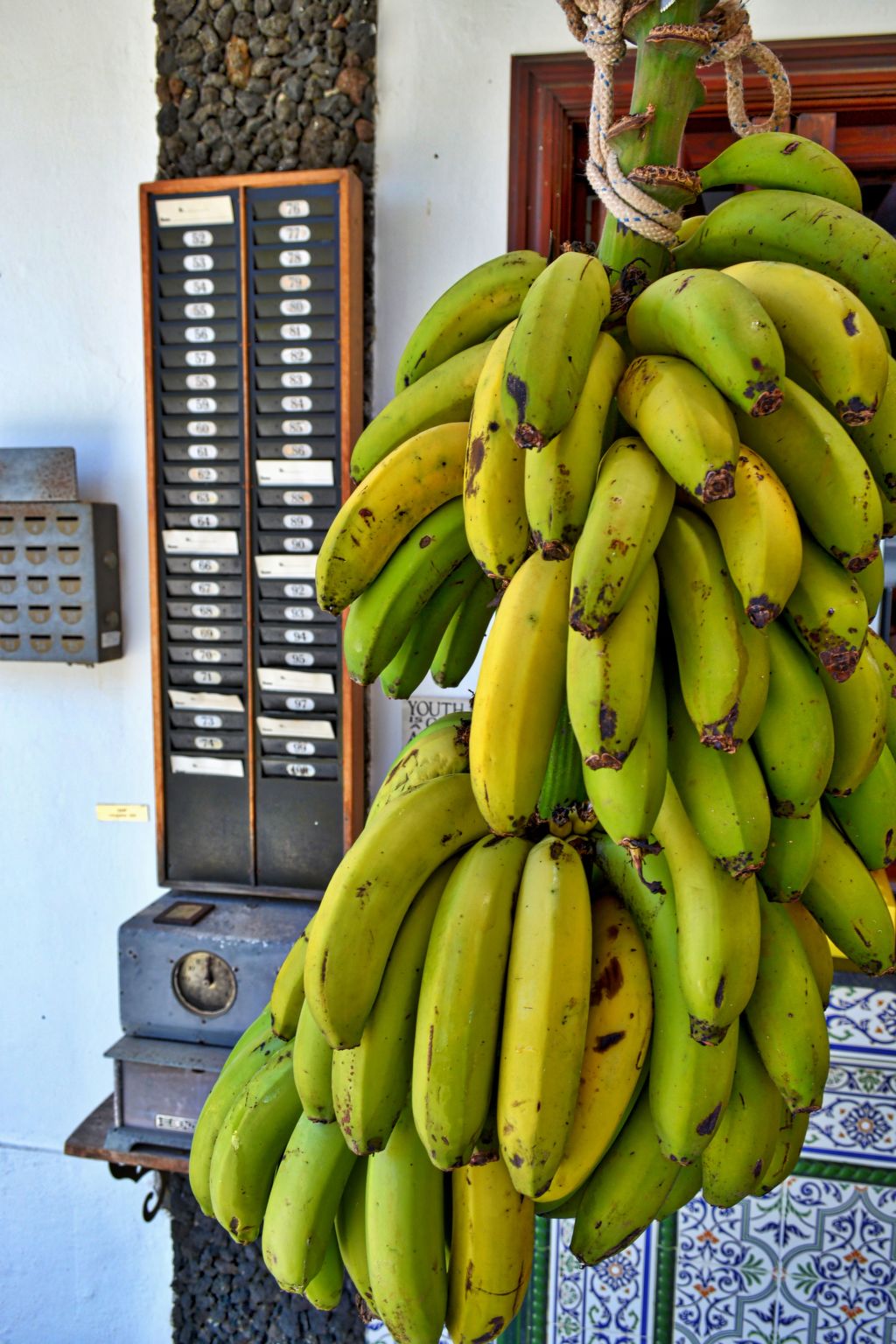 Finca Alcala Tota-Image-tags.info