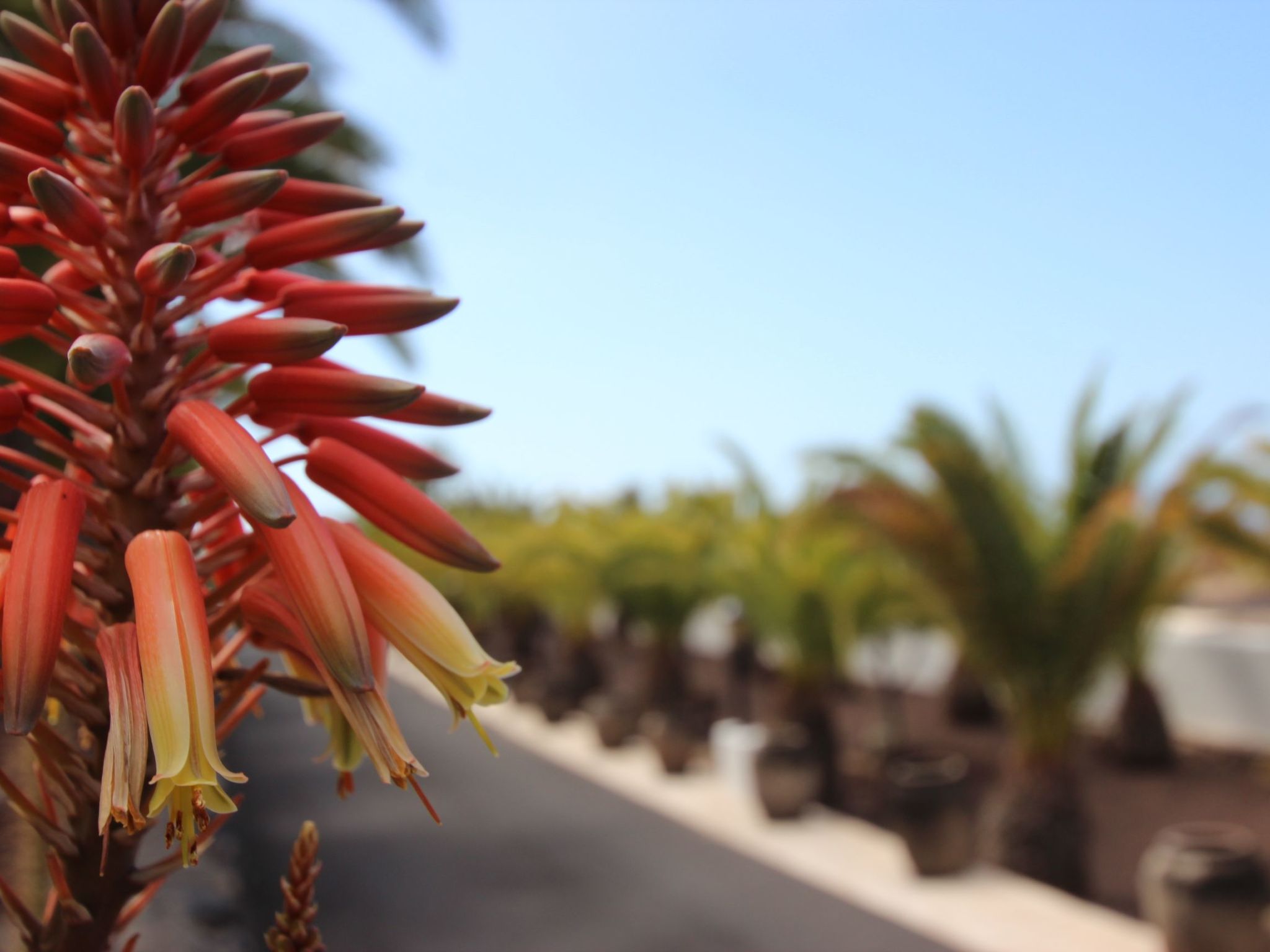 Finca Alcala Tota-Image-tags.info