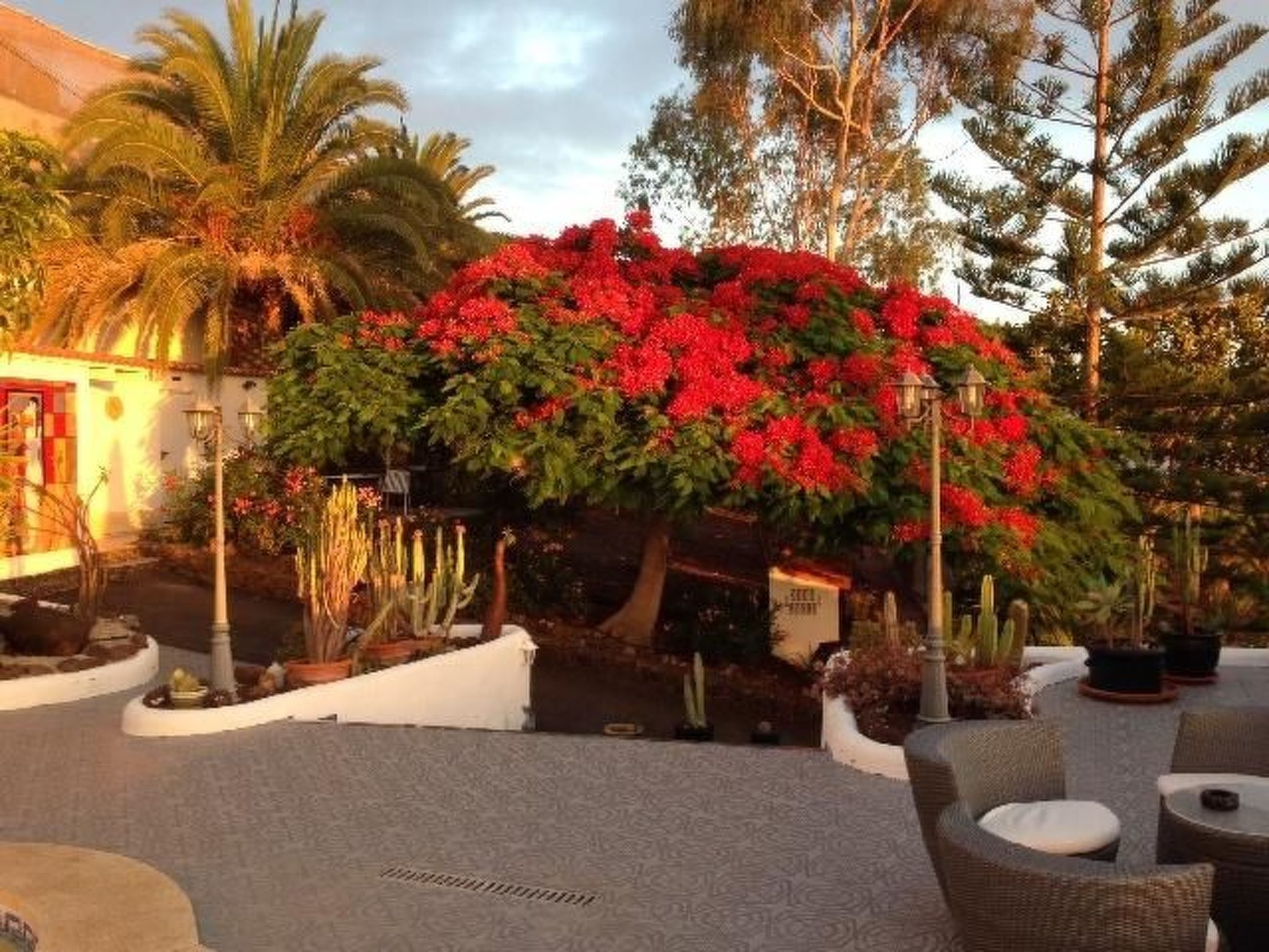 Finca Alcala Tota-Image-tags.info