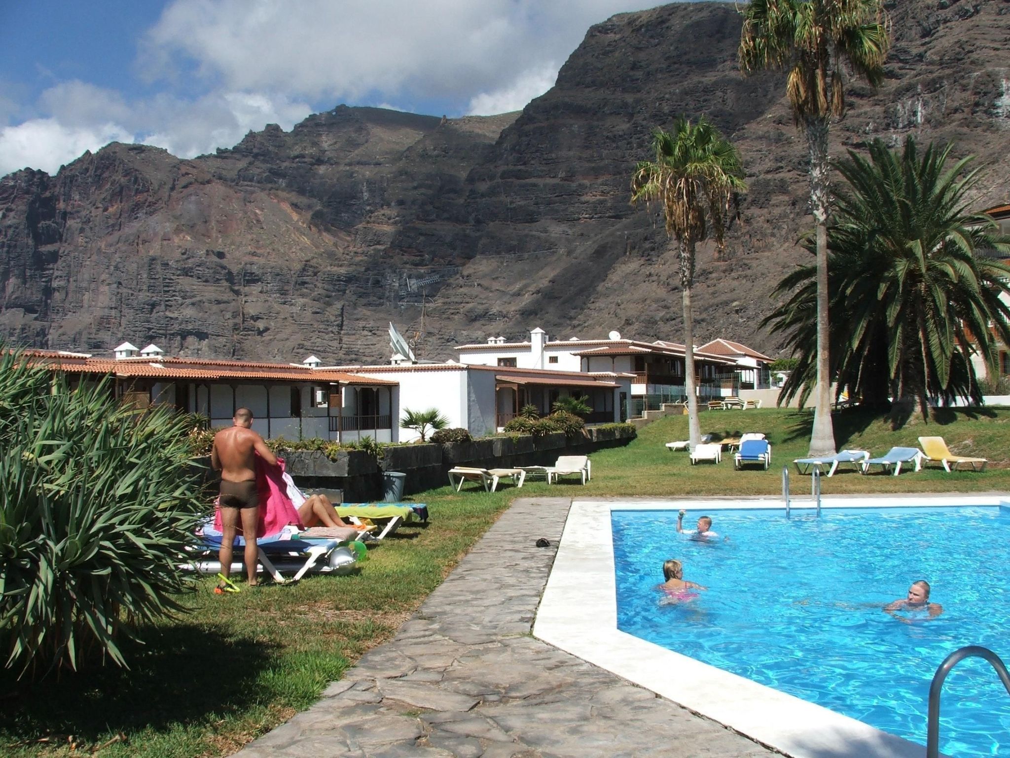 Delfin 1-7-Image-tags.info