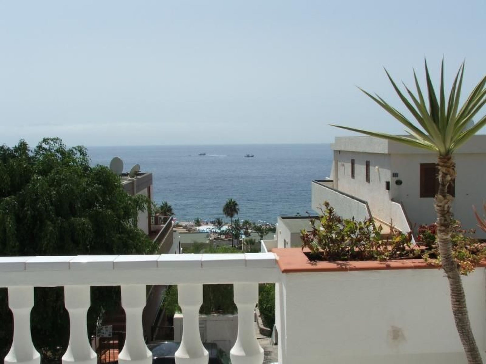 Adelfa-Image-tags.info