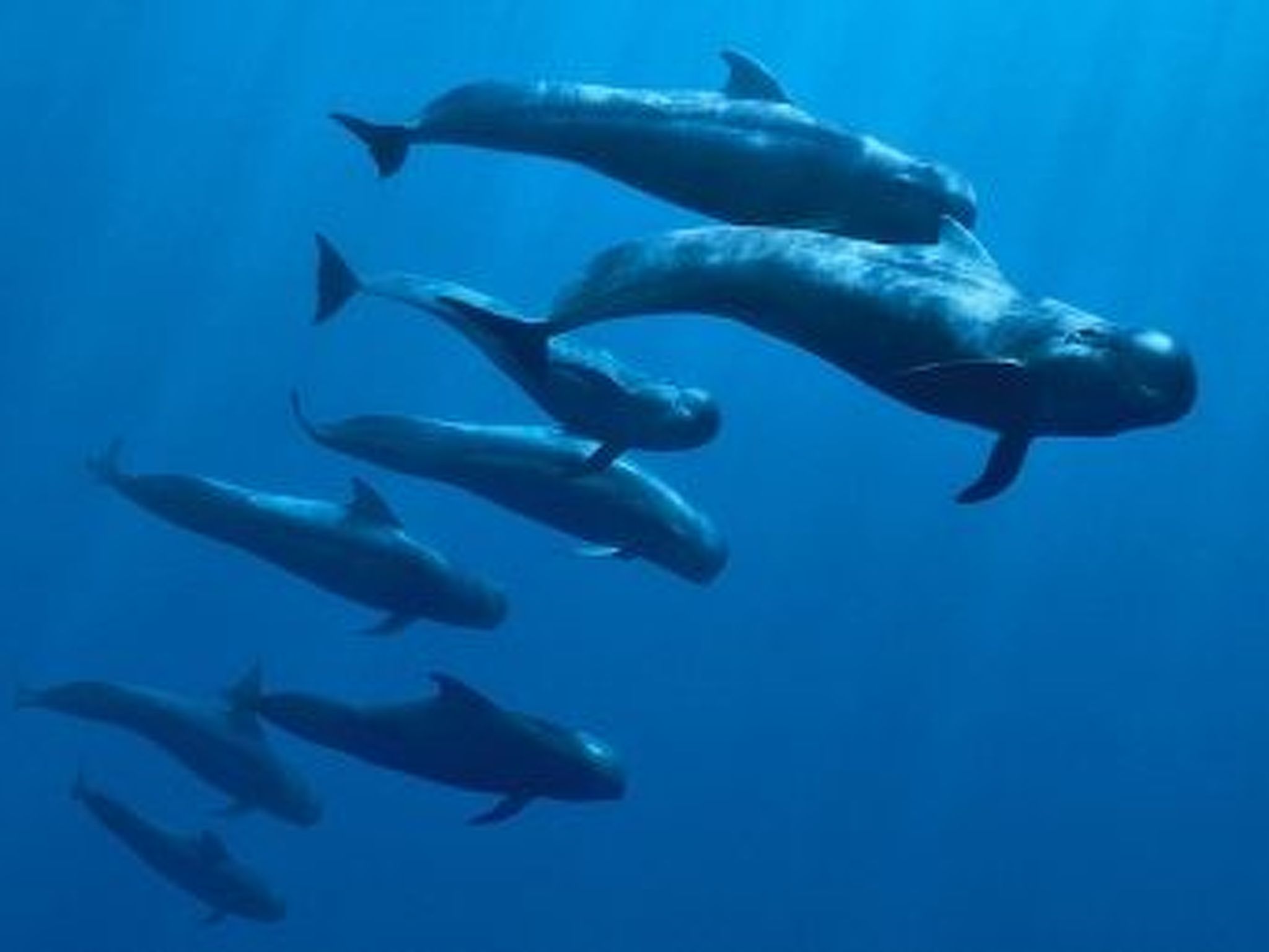 Photo of Wohnung mit Aussicht auf Meer und Klippen