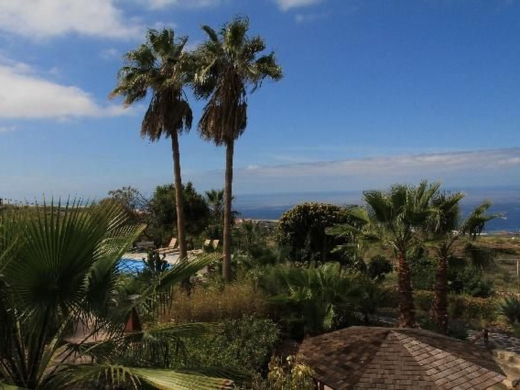 Marbella Guia Isora-Image-tags.info