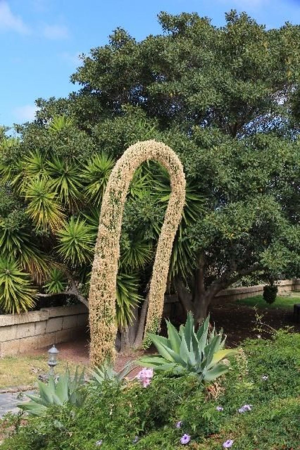 Schöne Finca Sanjuan mit Pool und Meerblick-Image-tags.info