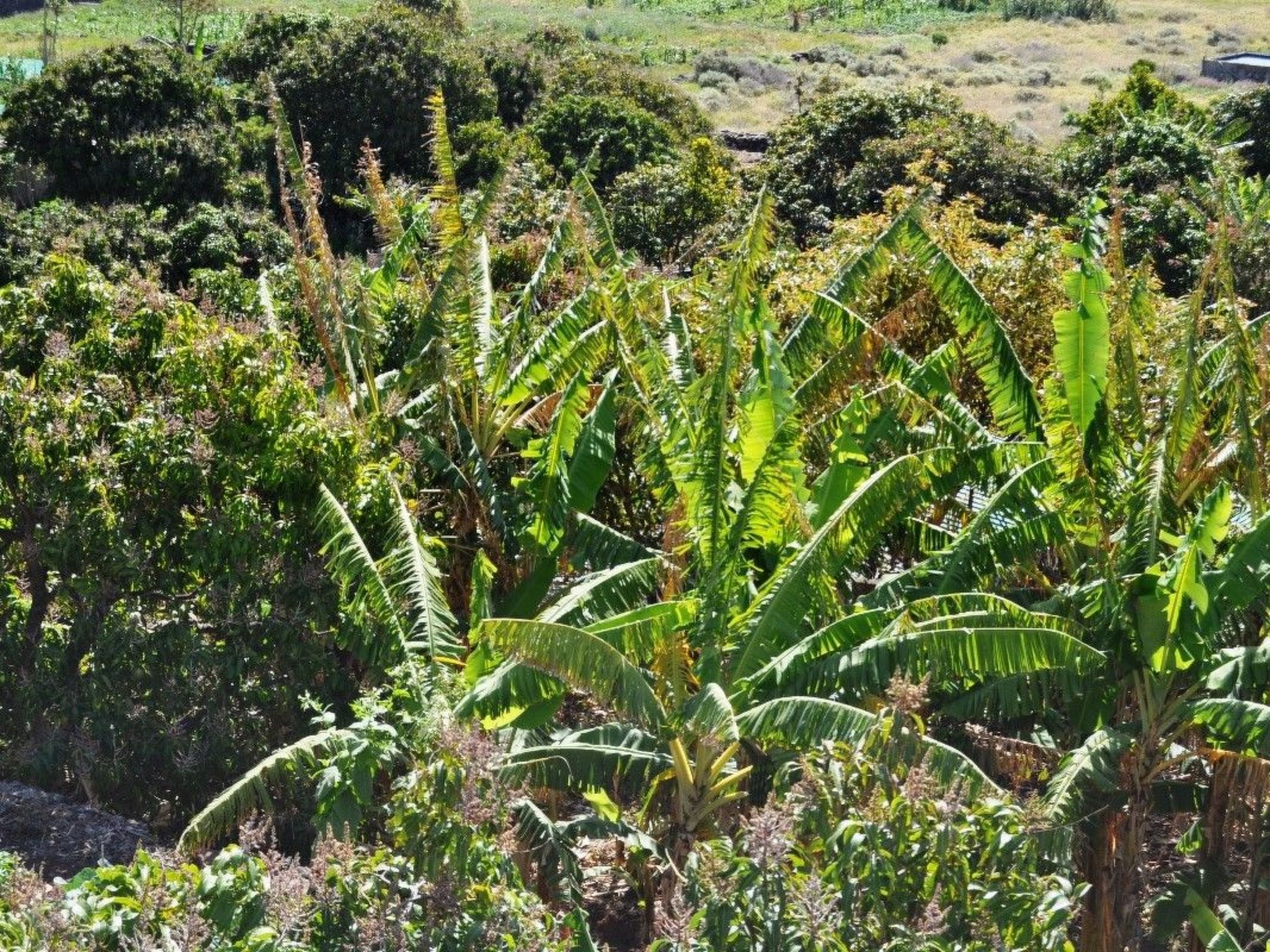 Zweitstöckiges Ferienvilla mit Terrassen, Pool, Sauna sowie herrlichem Berg- un